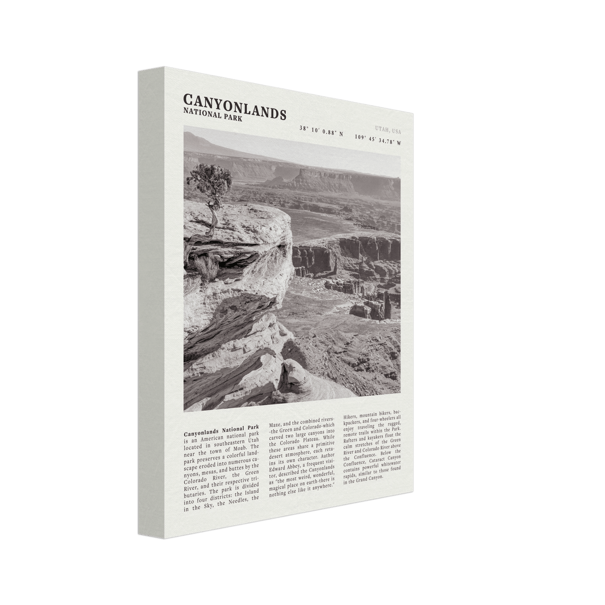 Canyonlands National Park Poster | Black & White Utah Wall Art | Canyon Travel Print - Evergreen Posters