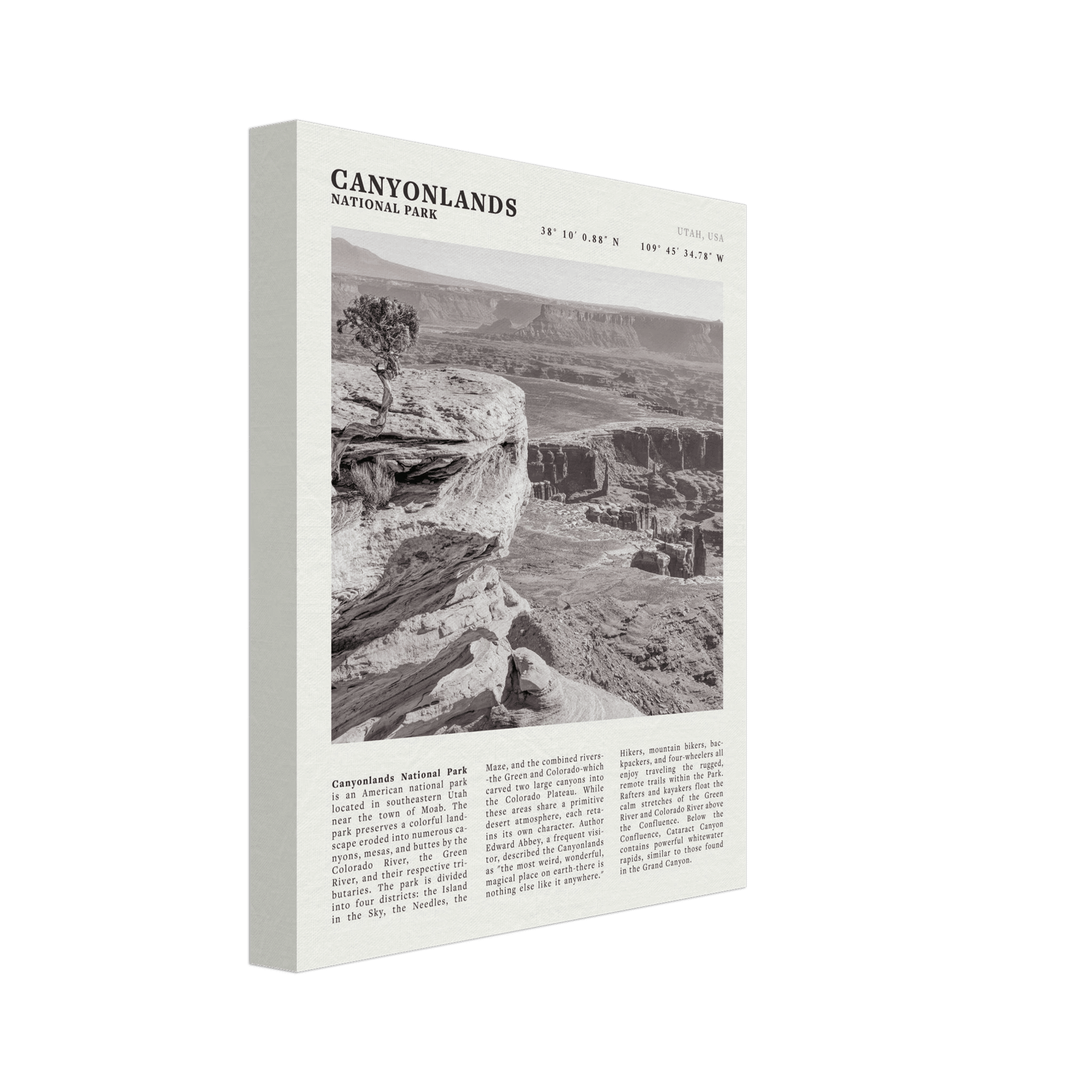 Canyonlands National Park Poster | Black & White Utah Wall Art | Canyon Travel Print - Evergreen Posters
