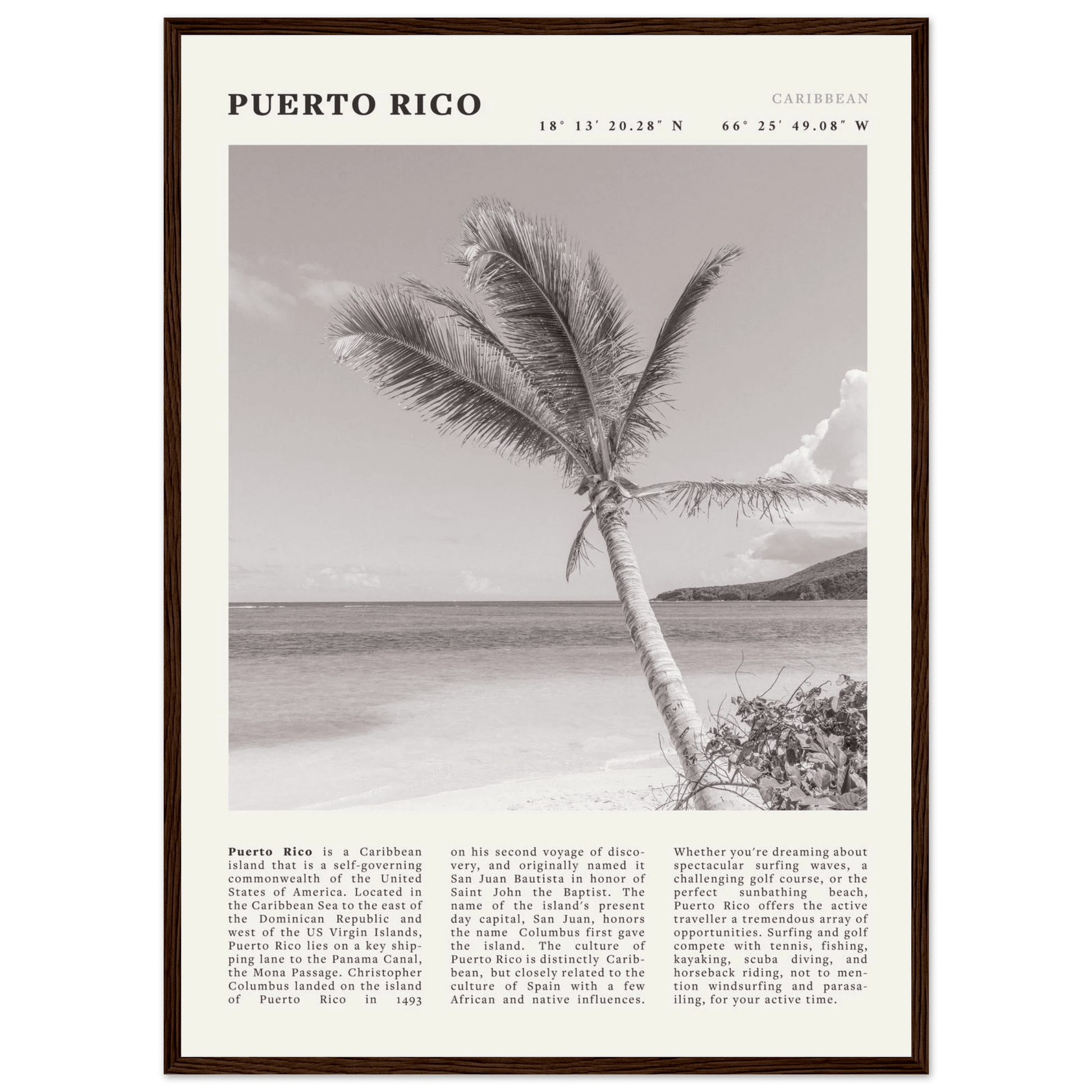 Puerto Rico Poster Black and White – Vintage Caribbean Palm Beach Print (Digital & Printed Options) - Evergreen Posters