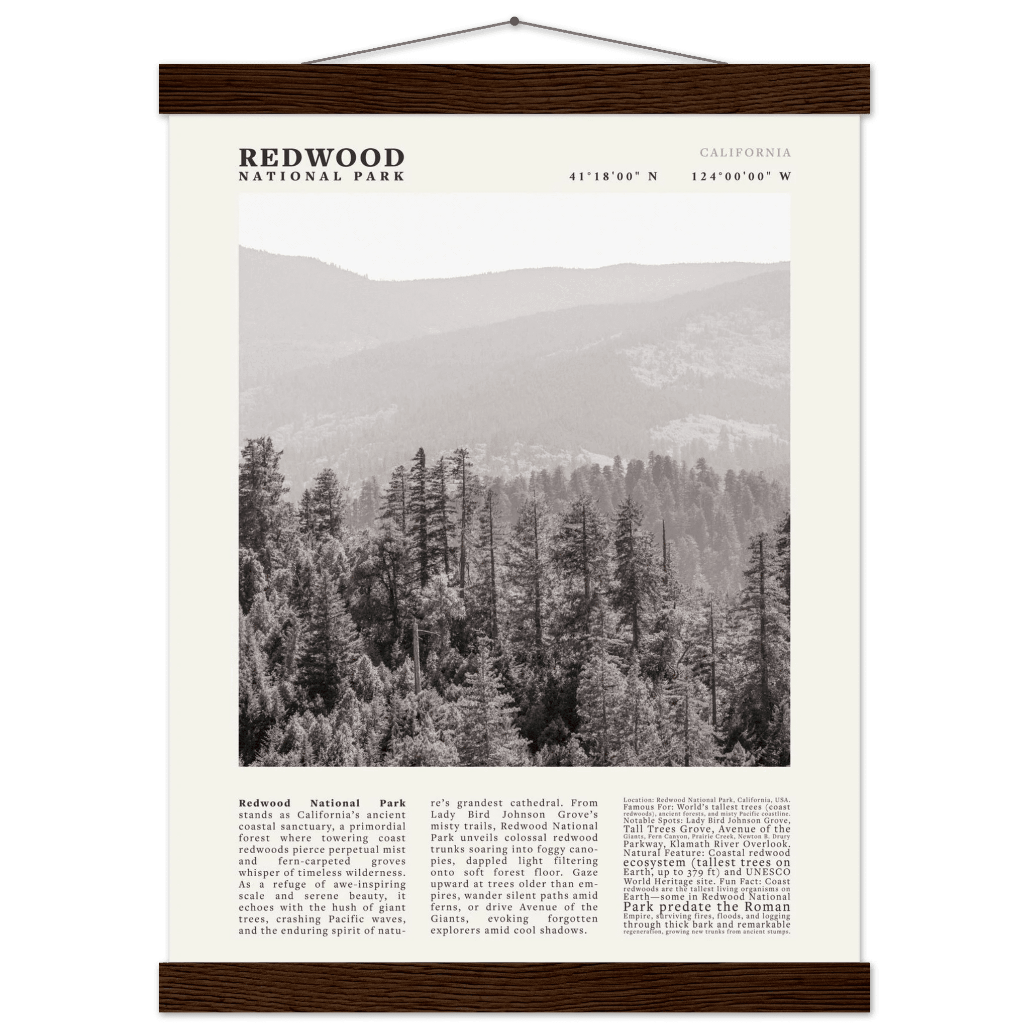 Redwood National Park Poster Black and White – Vintage Foggy Redwood Forest Print - Evergreen Posters