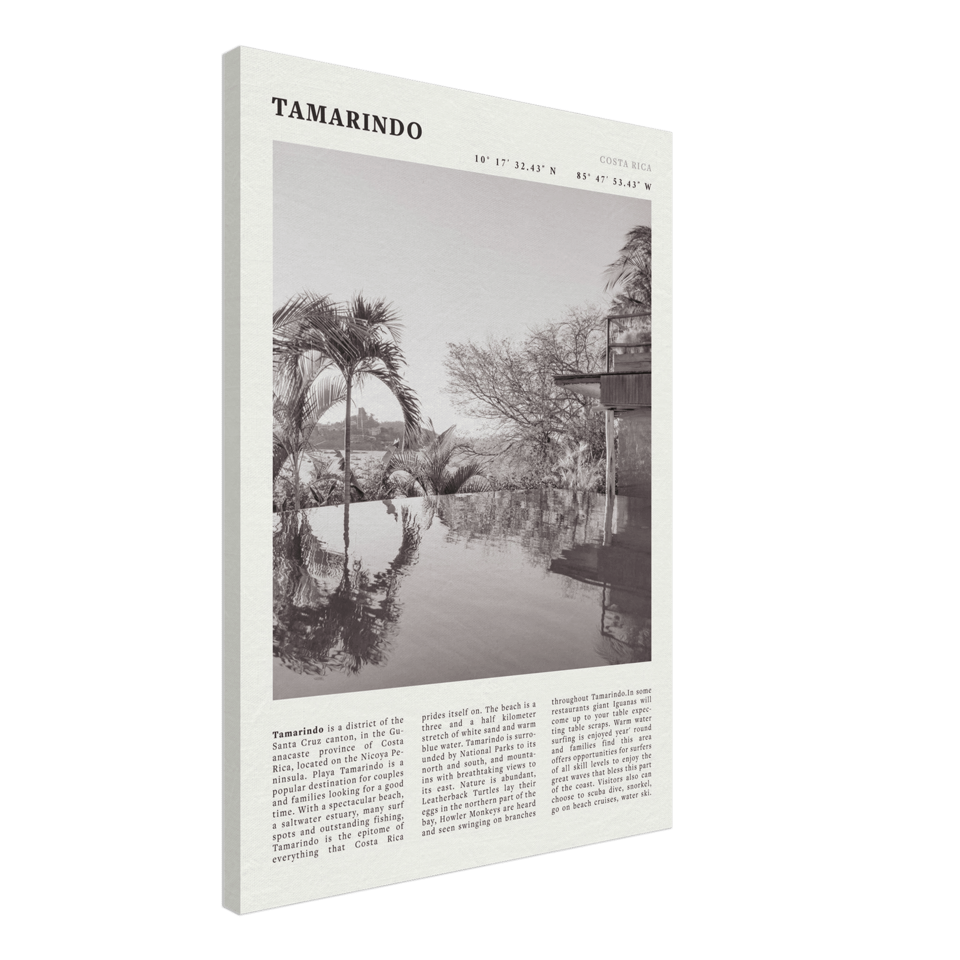 Tamarindo Poster | Black & White Costa Rica Beach Wall Art | Surf Travel Print - Evergreen Posters
