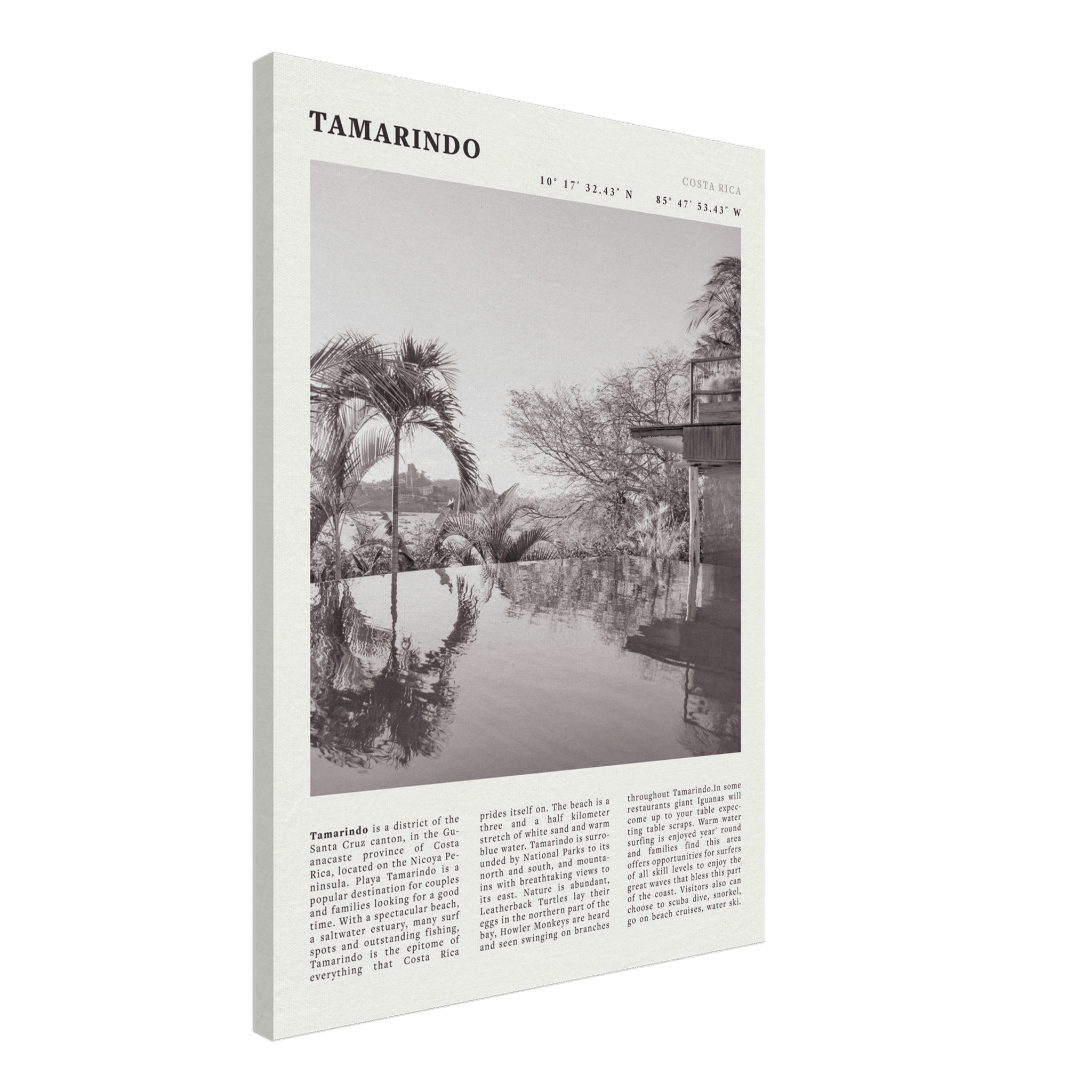 Tamarindo Poster | Black & White Costa Rica Beach Wall Art | Surf Travel Print - Evergreen Posters