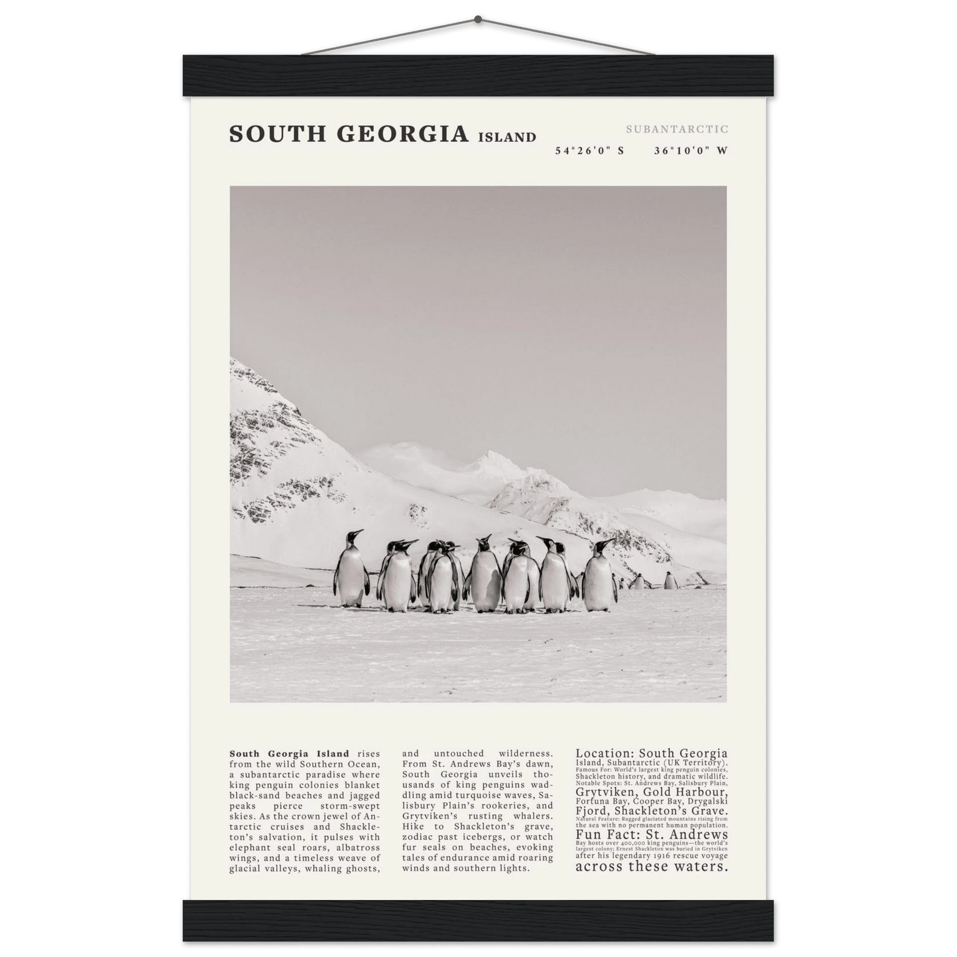 South Georgia Island Black and White Vintage Poster - Evergreen Posters