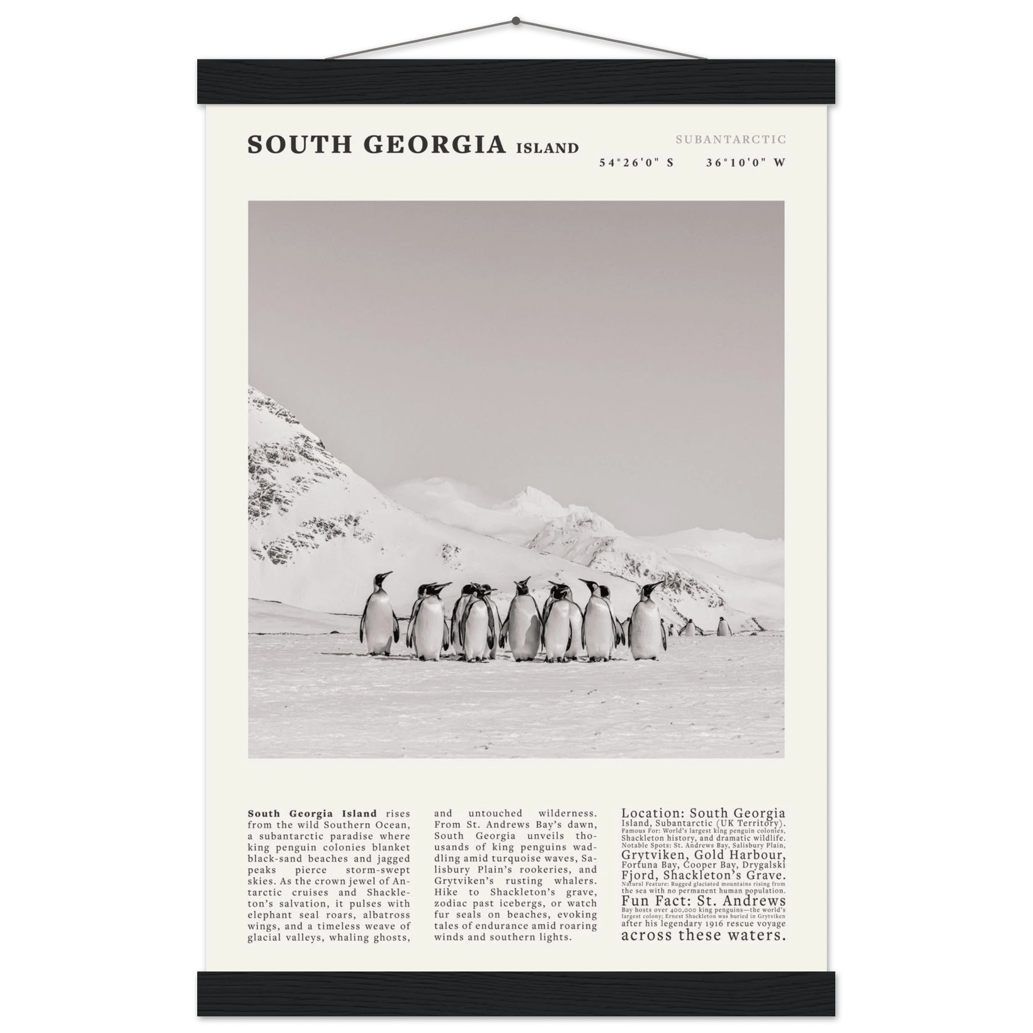 South Georgia Island Black and White Vintage Poster - Evergreen Posters