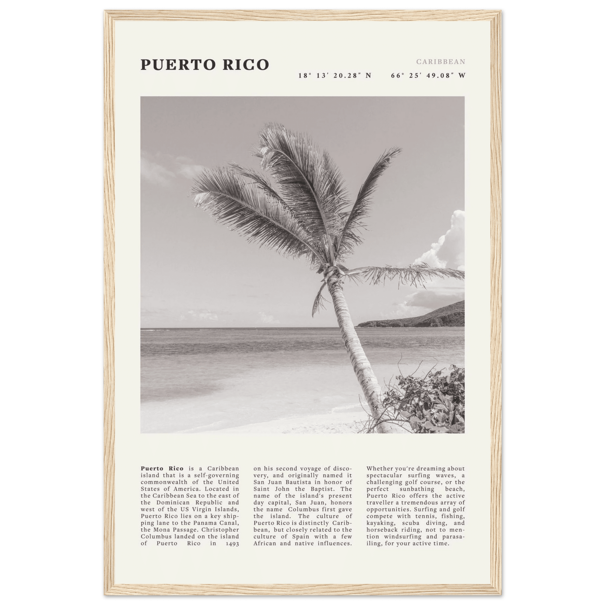 Puerto Rico Poster Black and White – Vintage Caribbean Palm Beach Print (Digital & Printed Options) - Evergreen Posters