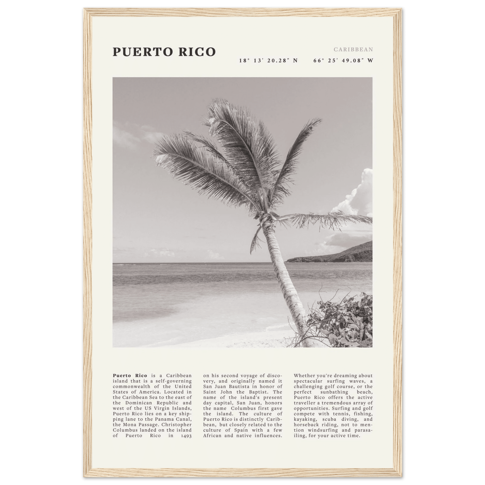 Puerto Rico Poster Black and White – Vintage Caribbean Palm Beach Print (Digital & Printed Options) - Evergreen Posters