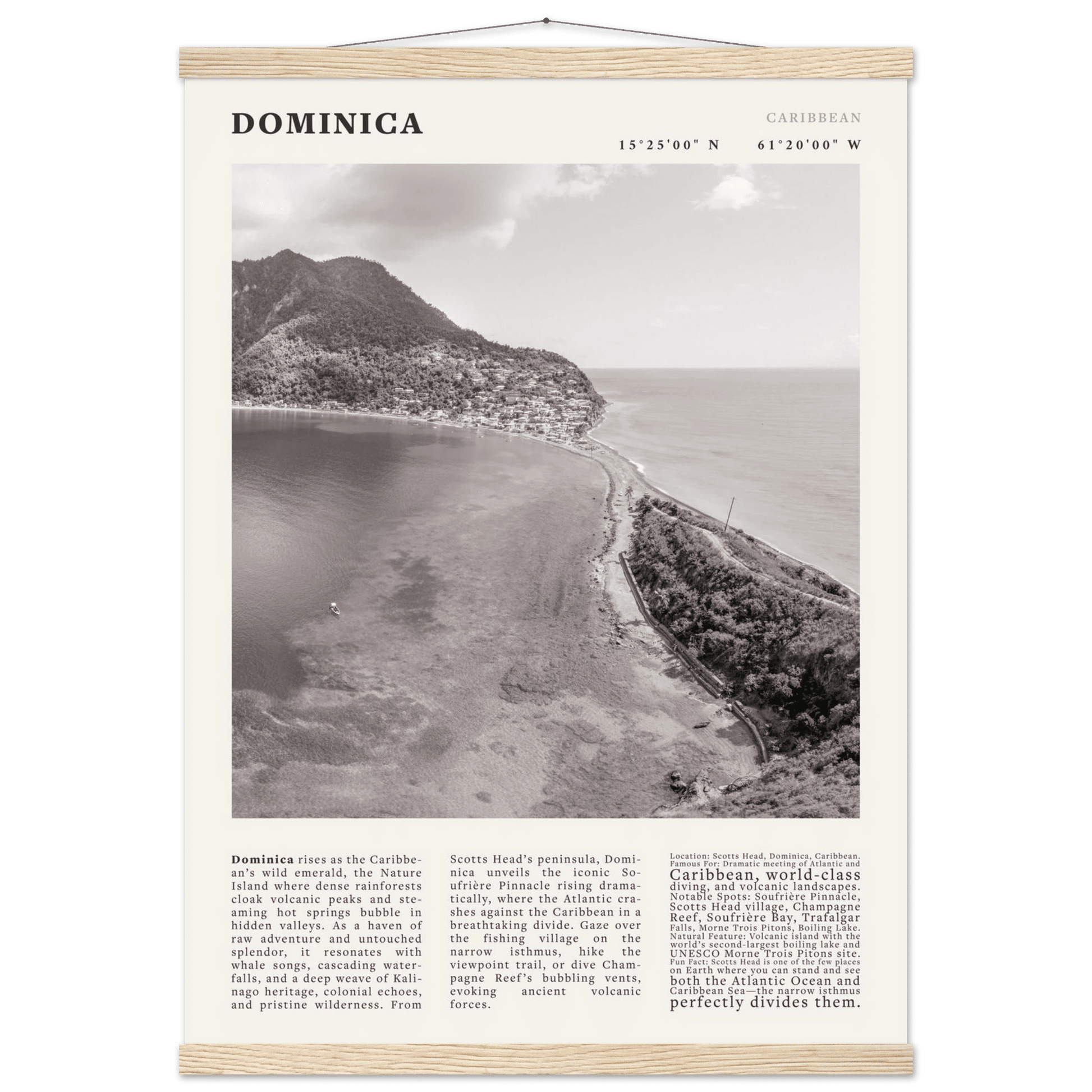 Dominica Poster Black and White – Vintage Caribbean Rainforest Island Print (Digital & Printed Options) - Evergreen Posters