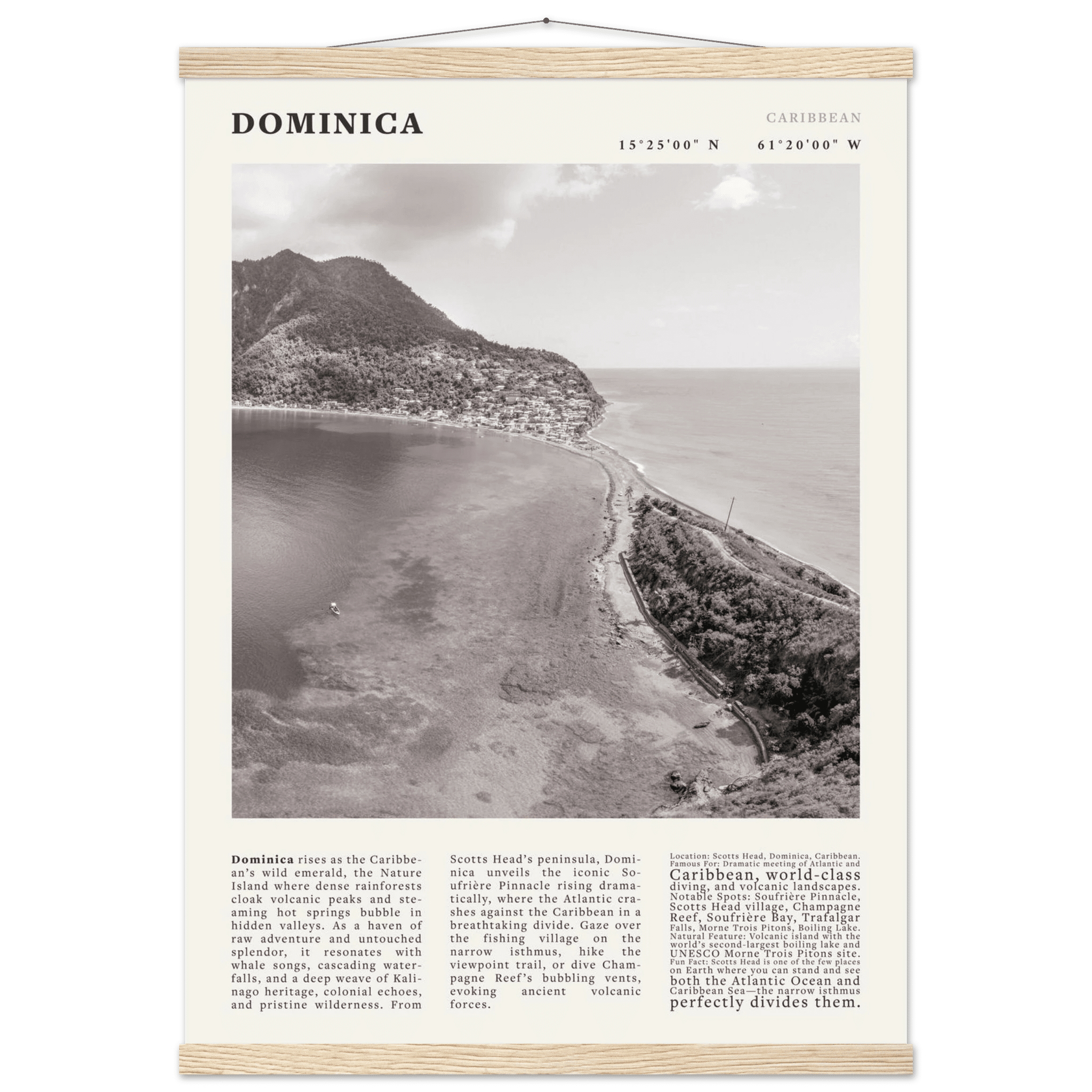 Dominica Poster Black and White – Vintage Caribbean Rainforest Island Print (Digital & Printed Options) - Evergreen Posters