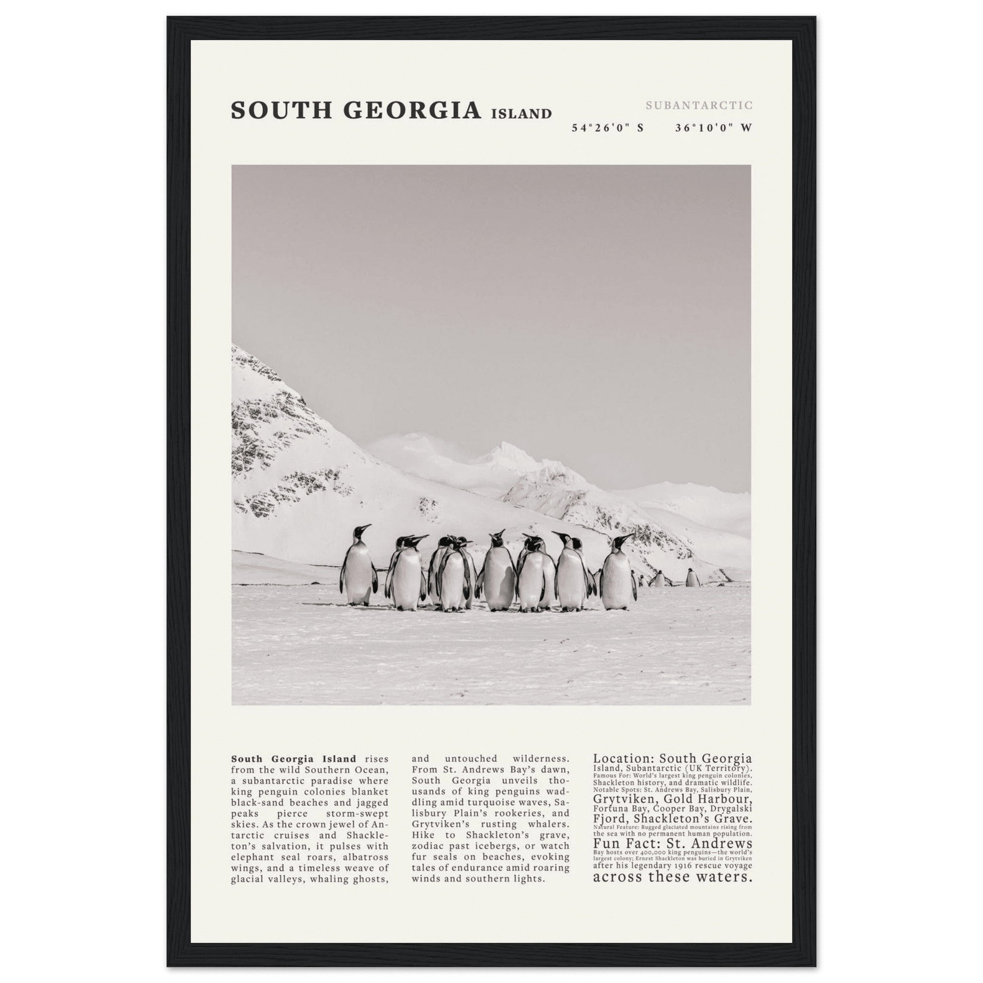 South Georgia Island Black and White Vintage Poster - Evergreen Posters
