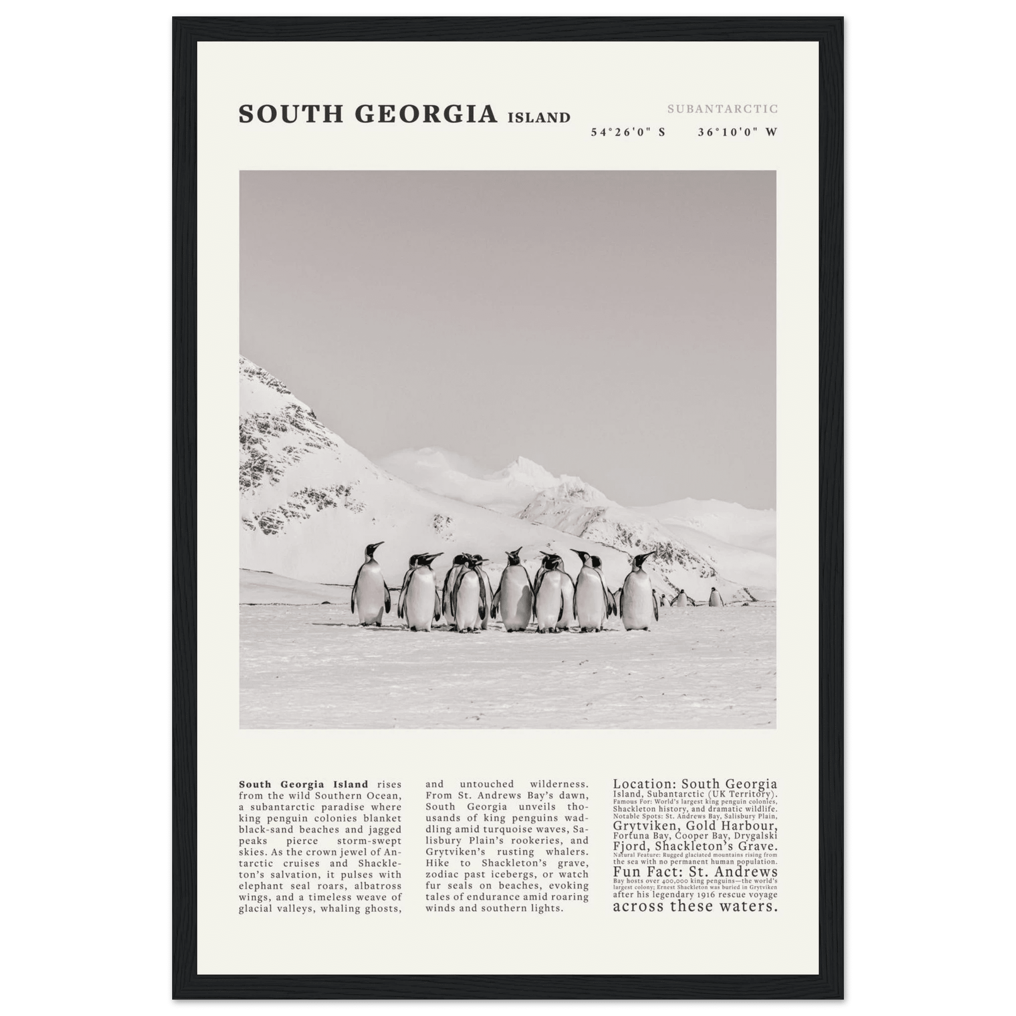 South Georgia Island Black and White Vintage Poster - Evergreen Posters