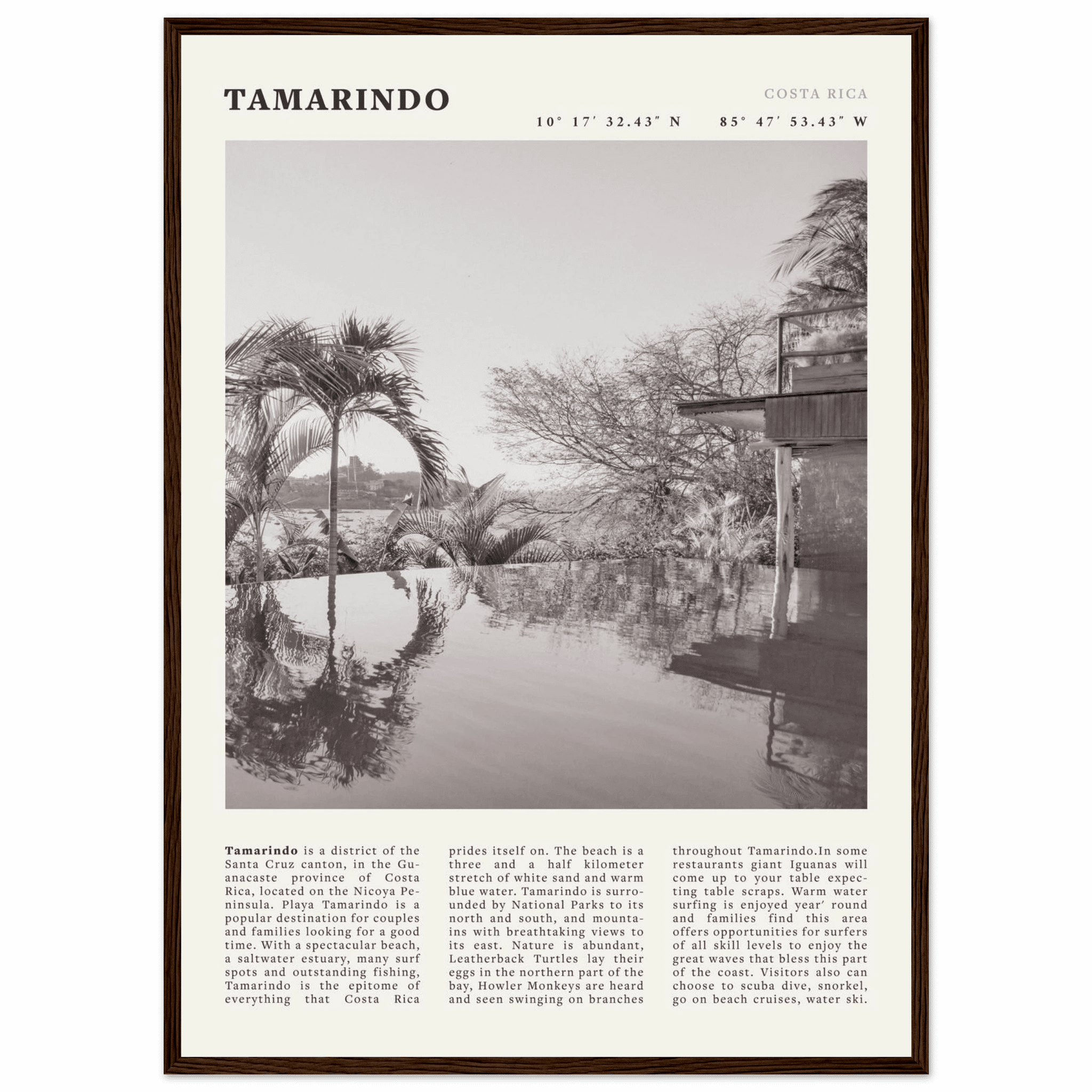 Tamarindo Poster | Black & White Costa Rica Beach Wall Art | Surf Travel Print - Evergreen Posters