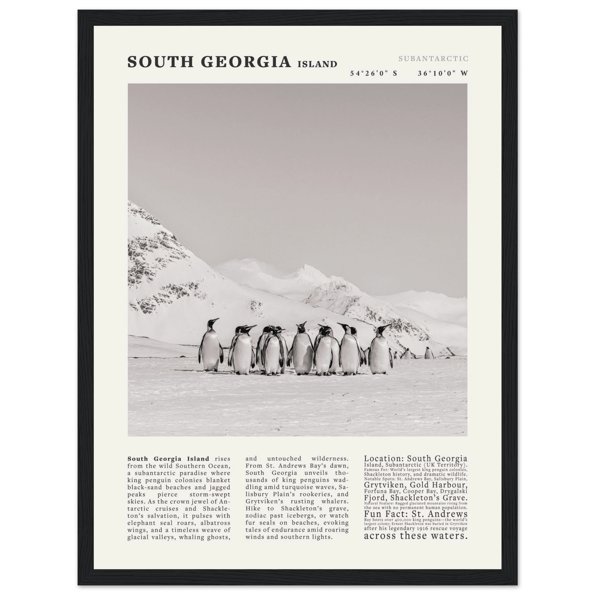 South Georgia Island Black and White Vintage Poster - Evergreen Posters