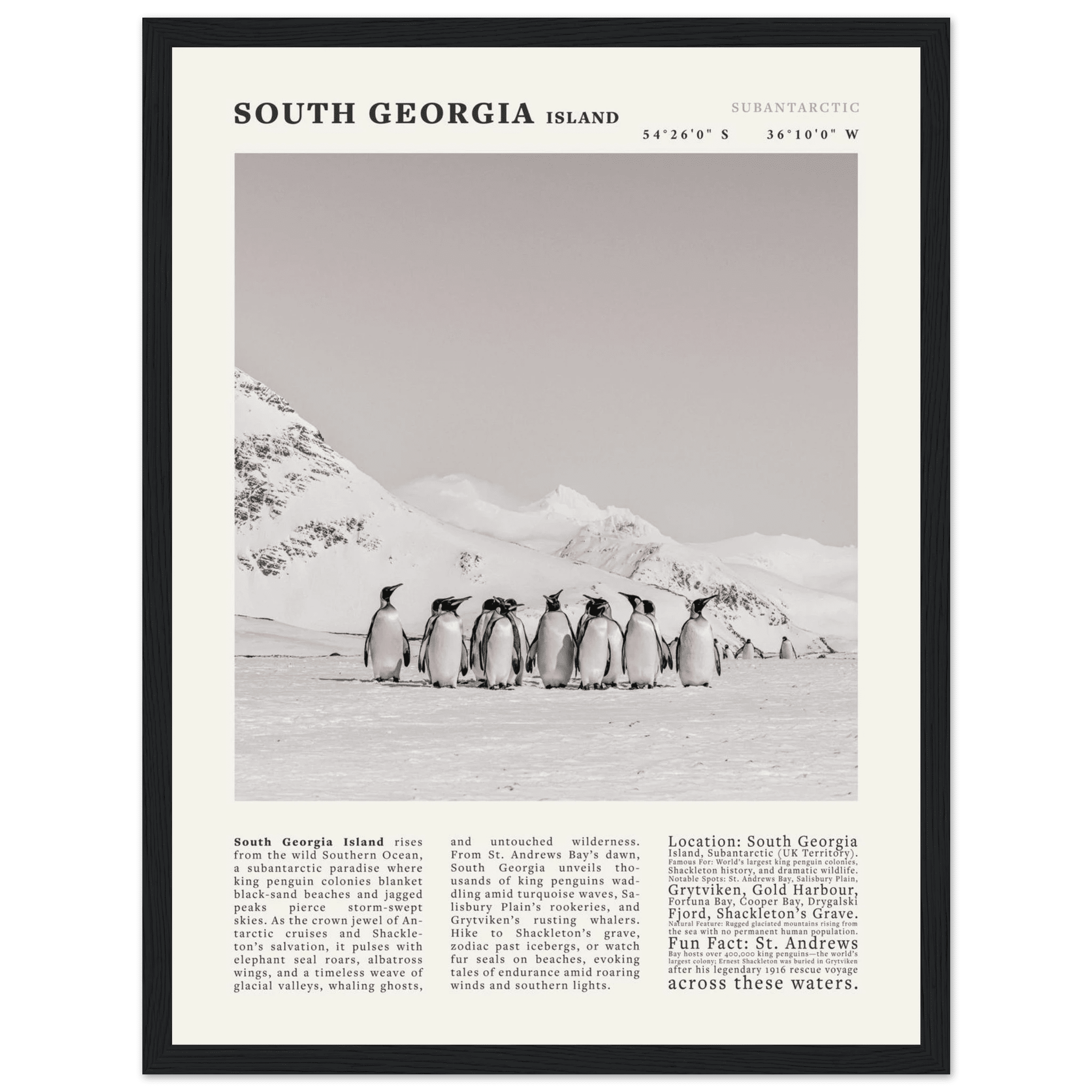 South Georgia Island Black and White Vintage Poster - Evergreen Posters