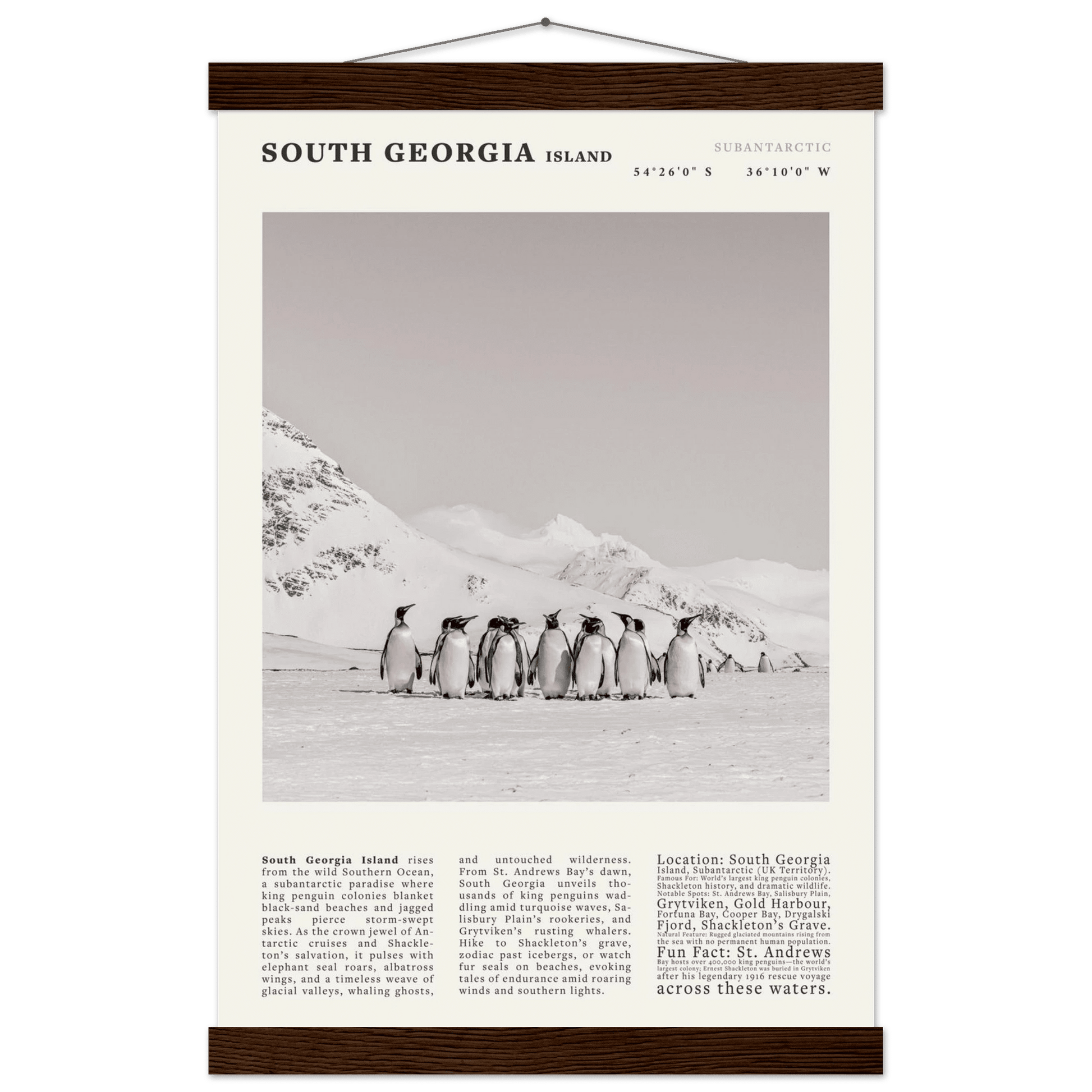 South Georgia Island Black and White Vintage Poster - Evergreen Posters