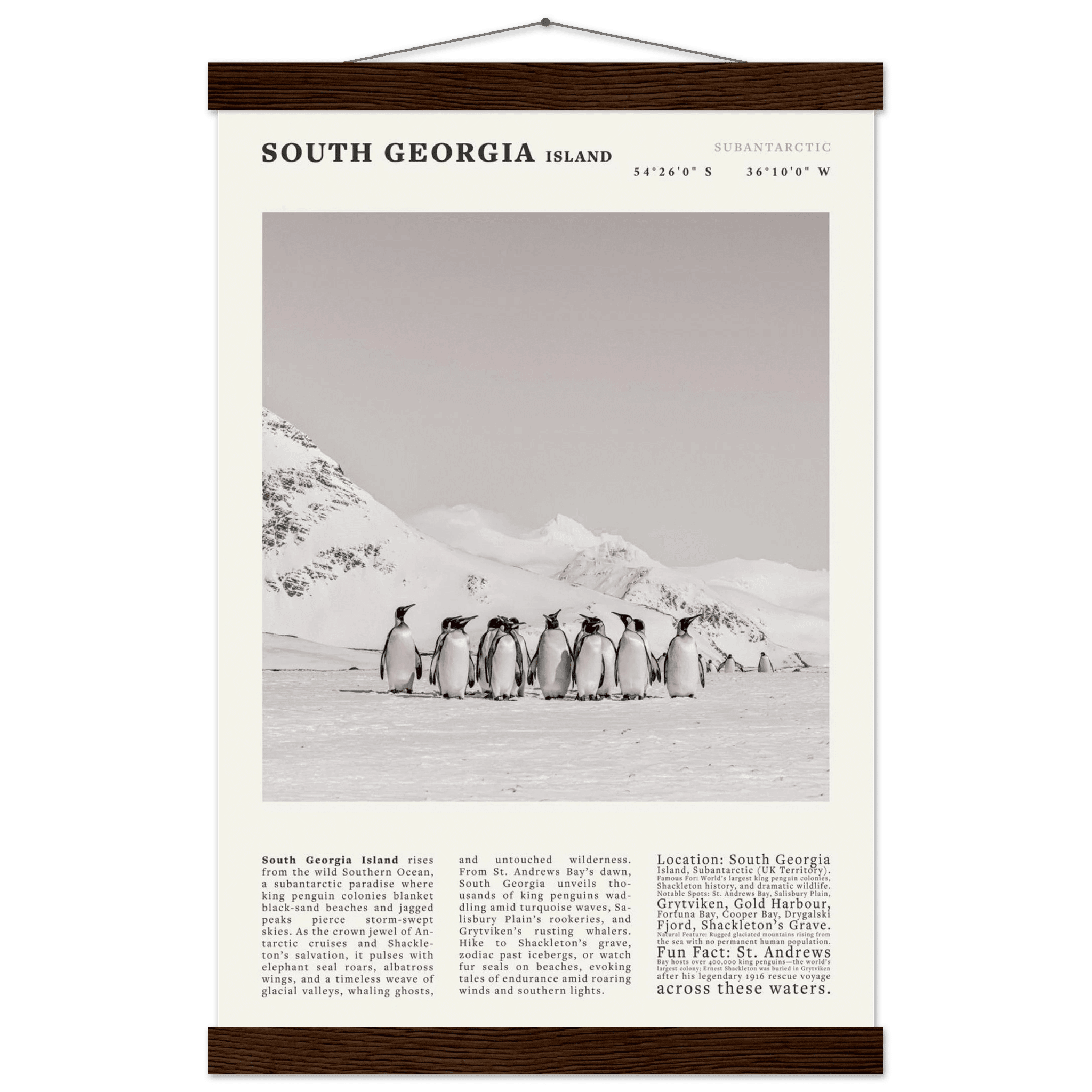 South Georgia Island Black and White Vintage Poster - Evergreen Posters