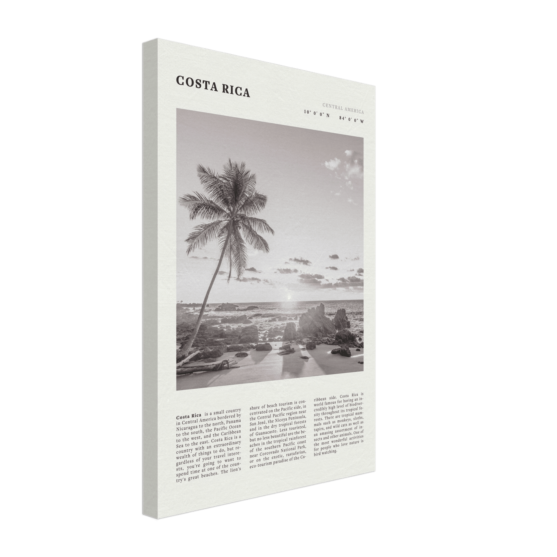 Costa Rica Poster | Black & White Palm Tree Beach Wall Art | Travel Print Decor - Evergreen Posters