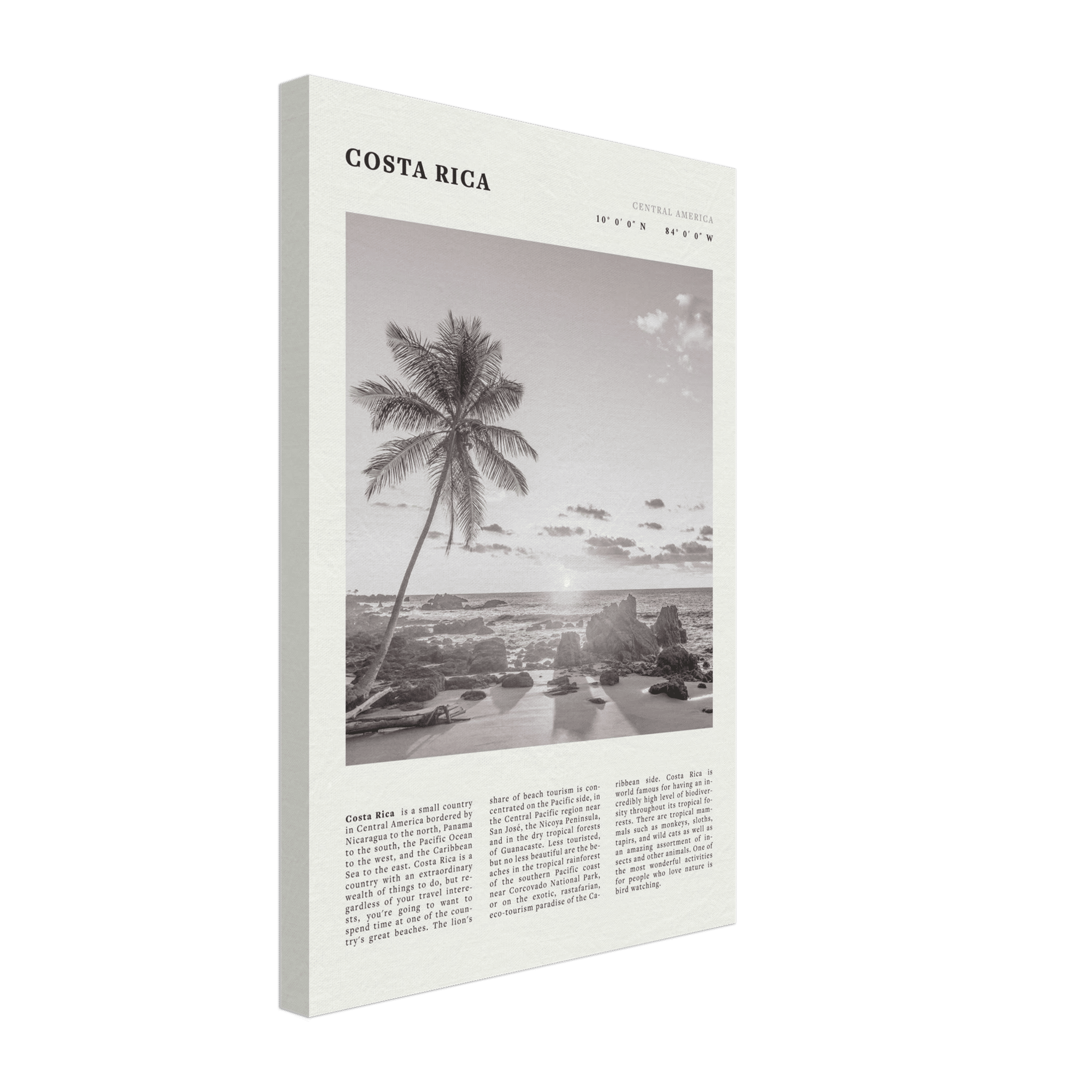 Costa Rica Poster | Black & White Palm Tree Beach Wall Art | Travel Print Decor - Evergreen Posters