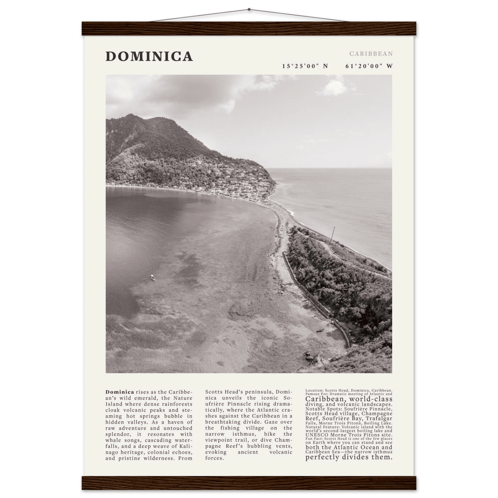 Dominica Poster Black and White – Vintage Caribbean Rainforest Island Print (Digital & Printed Options) - Evergreen Posters