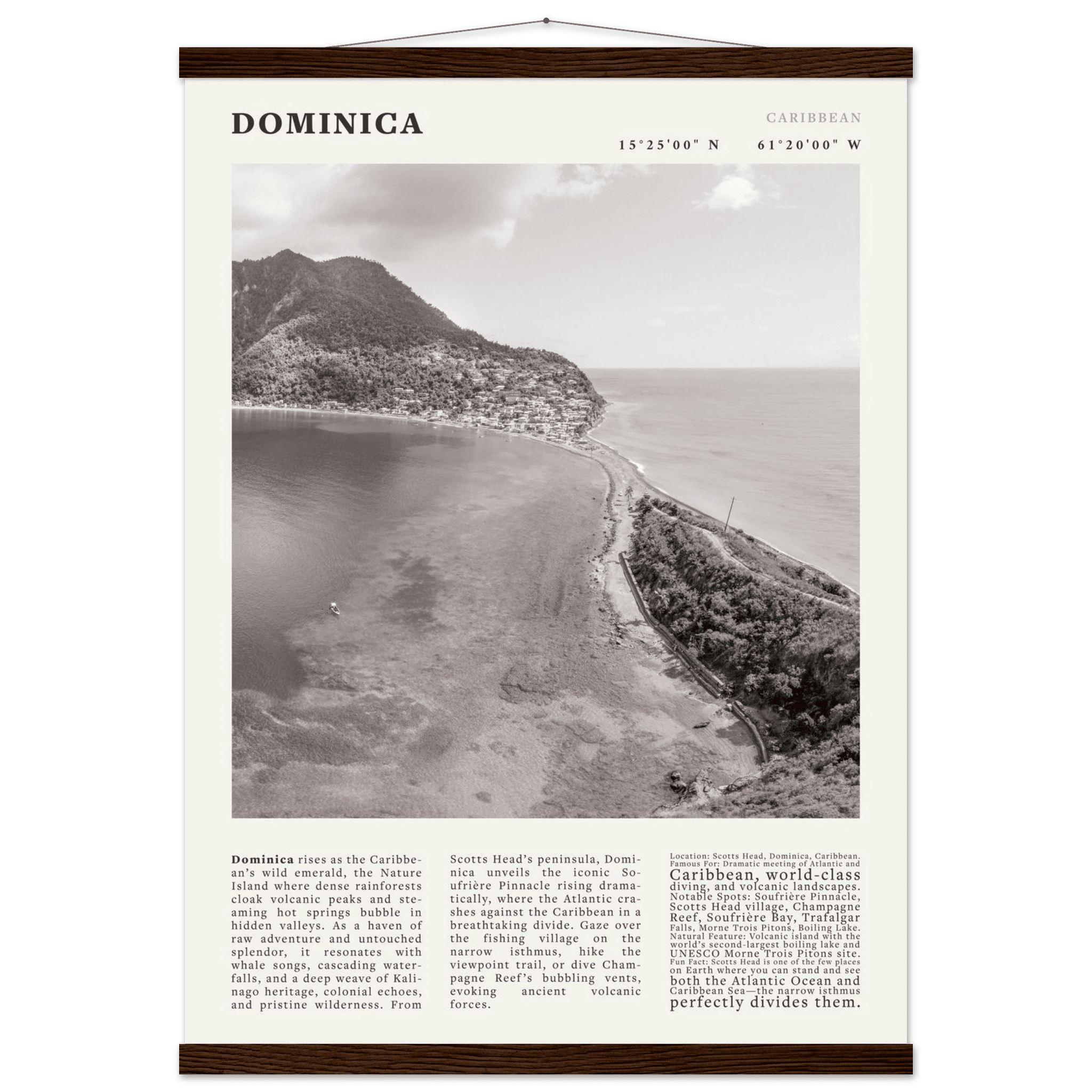 Dominica Poster Black and White – Vintage Caribbean Rainforest Island Print (Digital & Printed Options) - Evergreen Posters