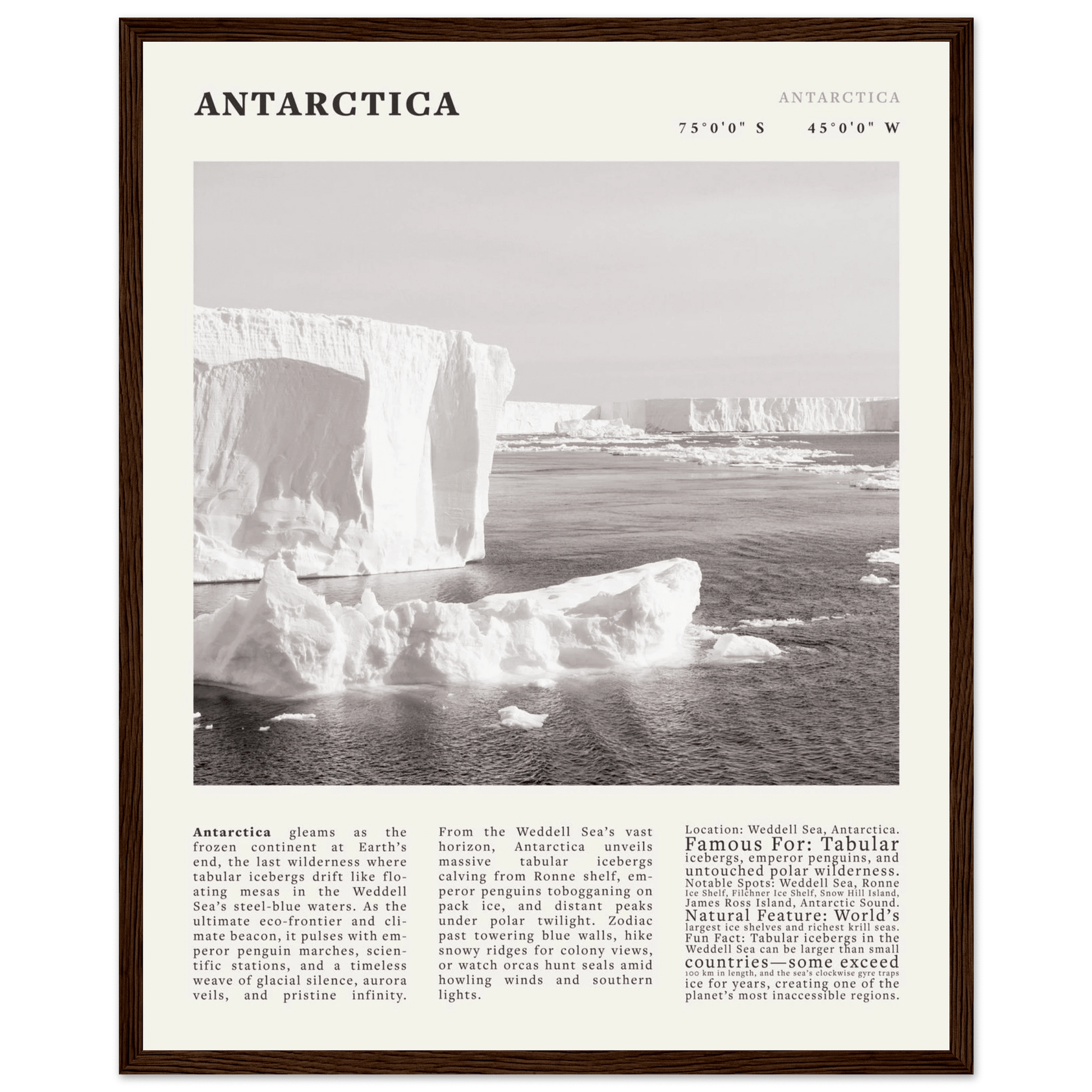 Antarctica Poster Black and White – Vintage Weddell Sea Iceberg Print (Digital & Printed Options) - Evergreen Posters