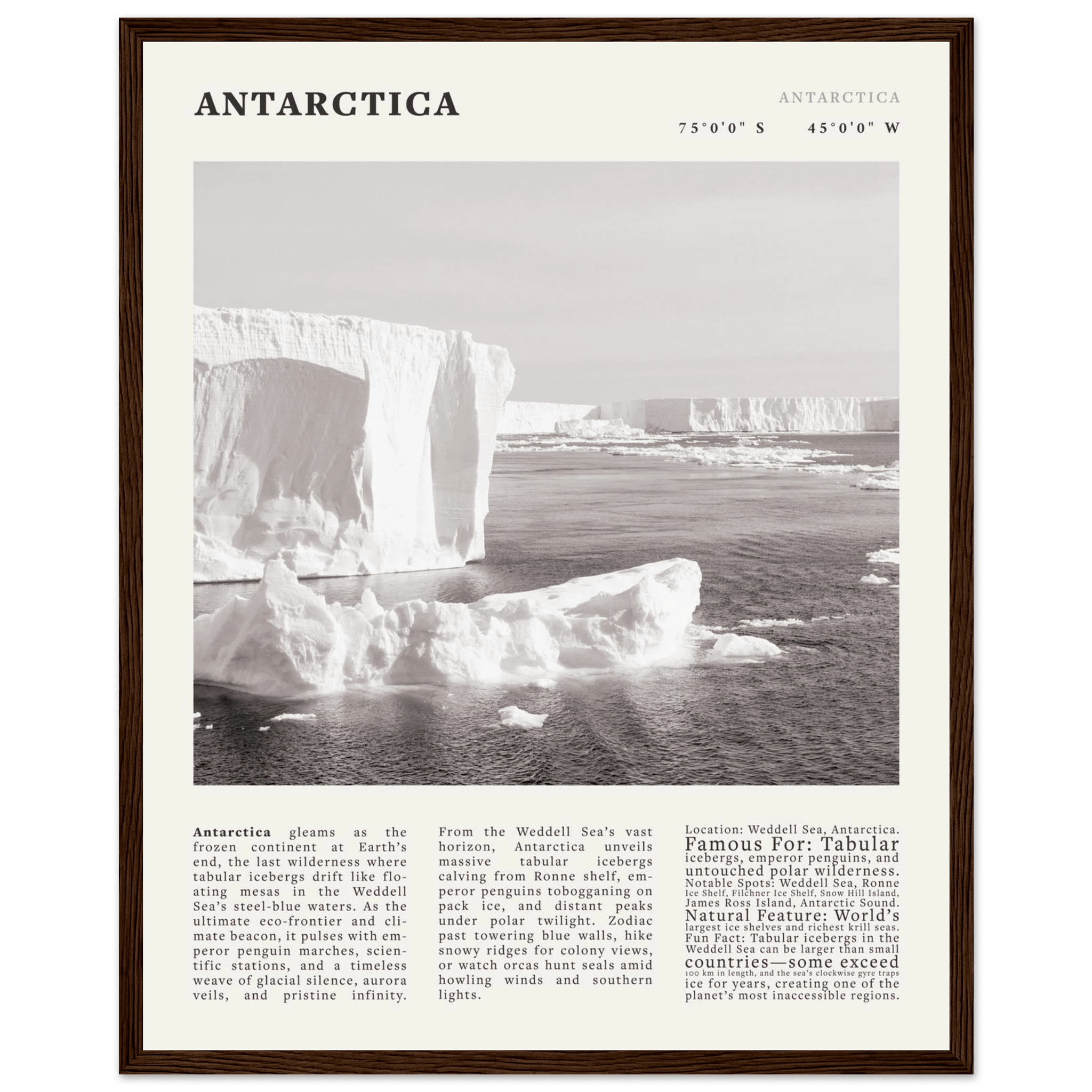 Antarctica Poster Black and White – Vintage Weddell Sea Iceberg Print (Digital & Printed Options) - Evergreen Posters