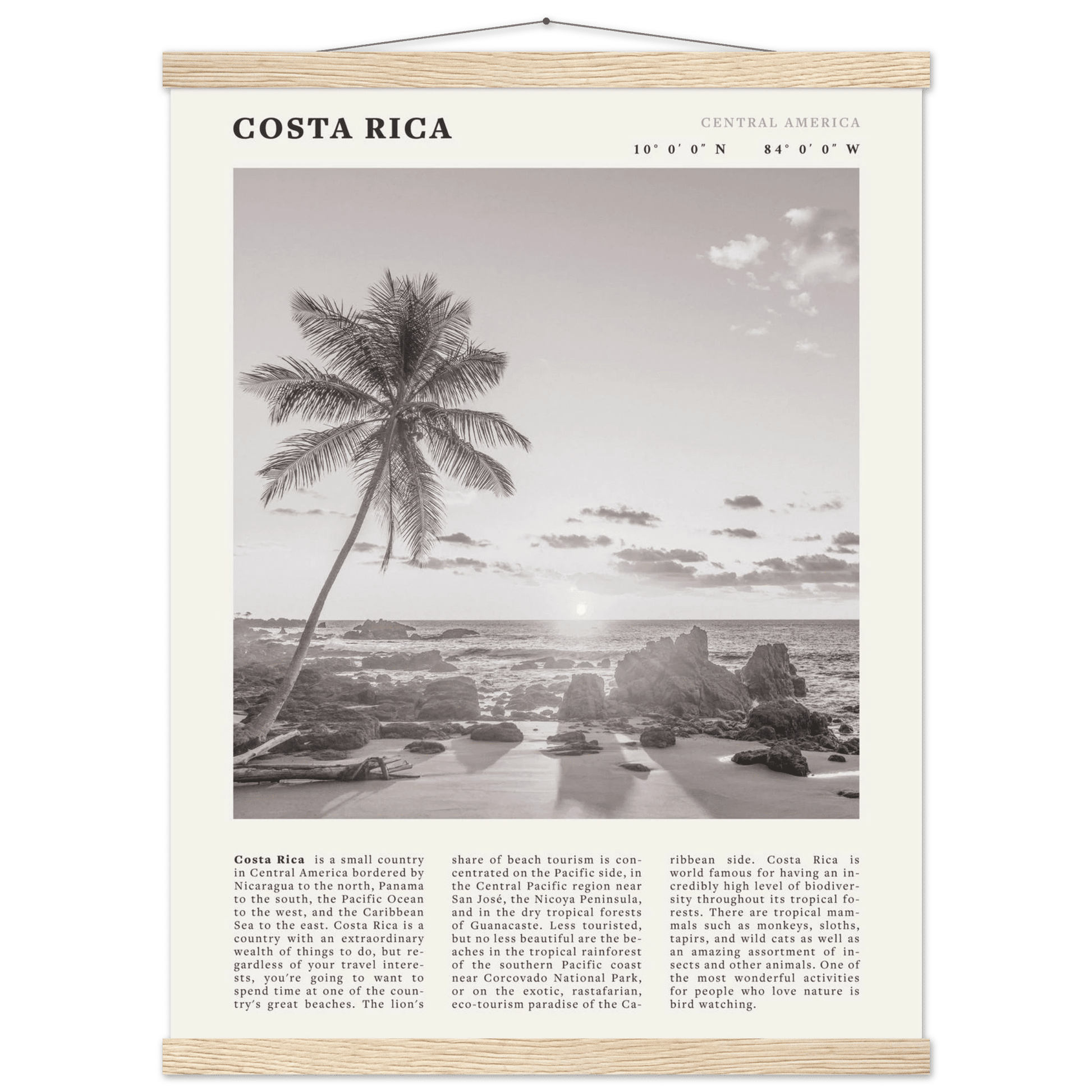 Costa Rica Poster | Black & White Palm Tree Beach Wall Art | Travel Print Decor - Evergreen Posters
