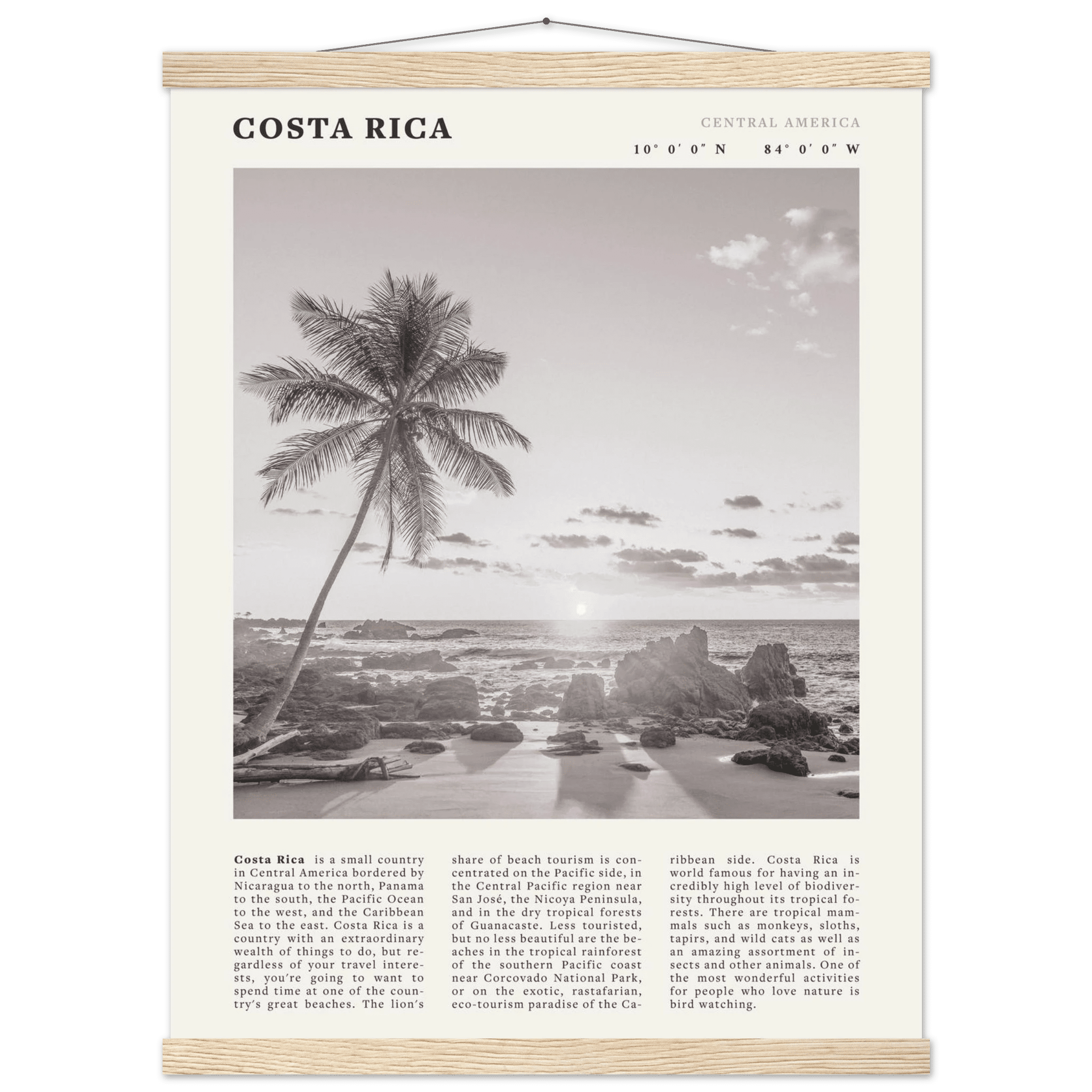 Costa Rica Poster | Black & White Palm Tree Beach Wall Art | Travel Print Decor - Evergreen Posters
