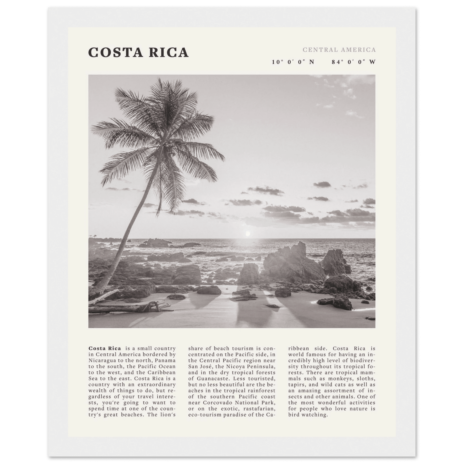 Costa Rica Poster | Black & White Palm Tree Beach Wall Art | Travel Print Decor - Evergreen Posters