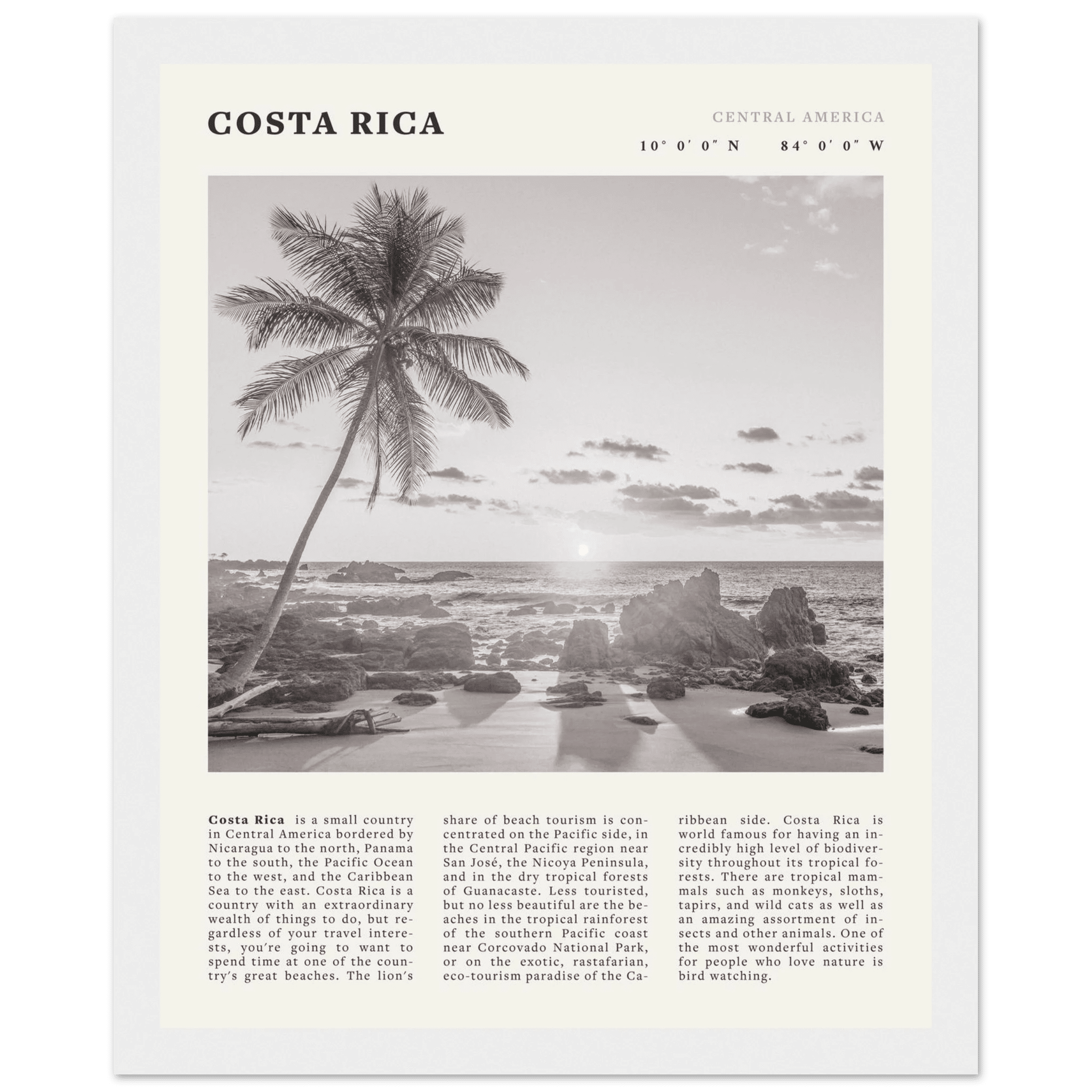 Costa Rica Poster | Black & White Palm Tree Beach Wall Art | Travel Print Decor - Evergreen Posters