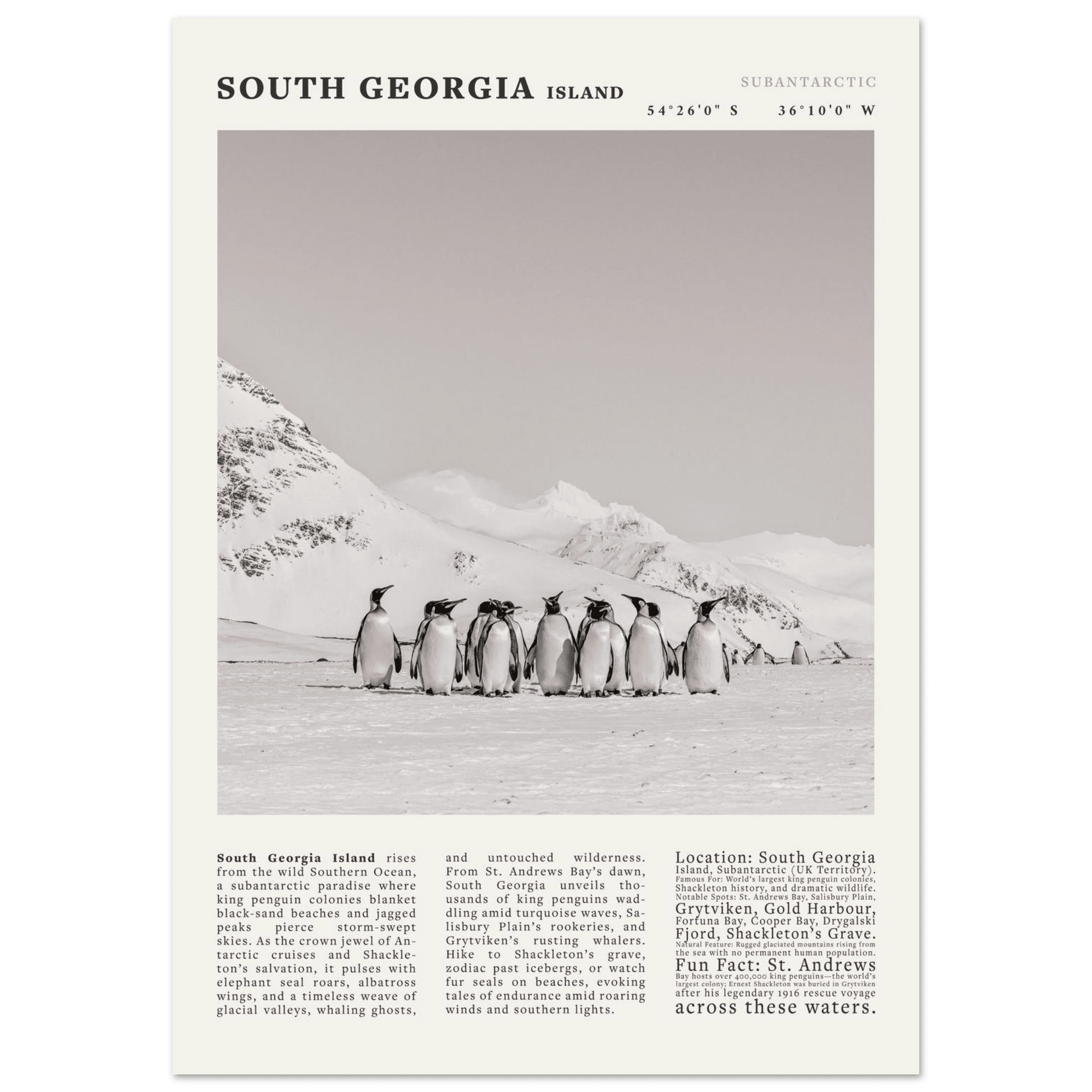 South Georgia Island Black and White Vintage Poster - Evergreen Posters