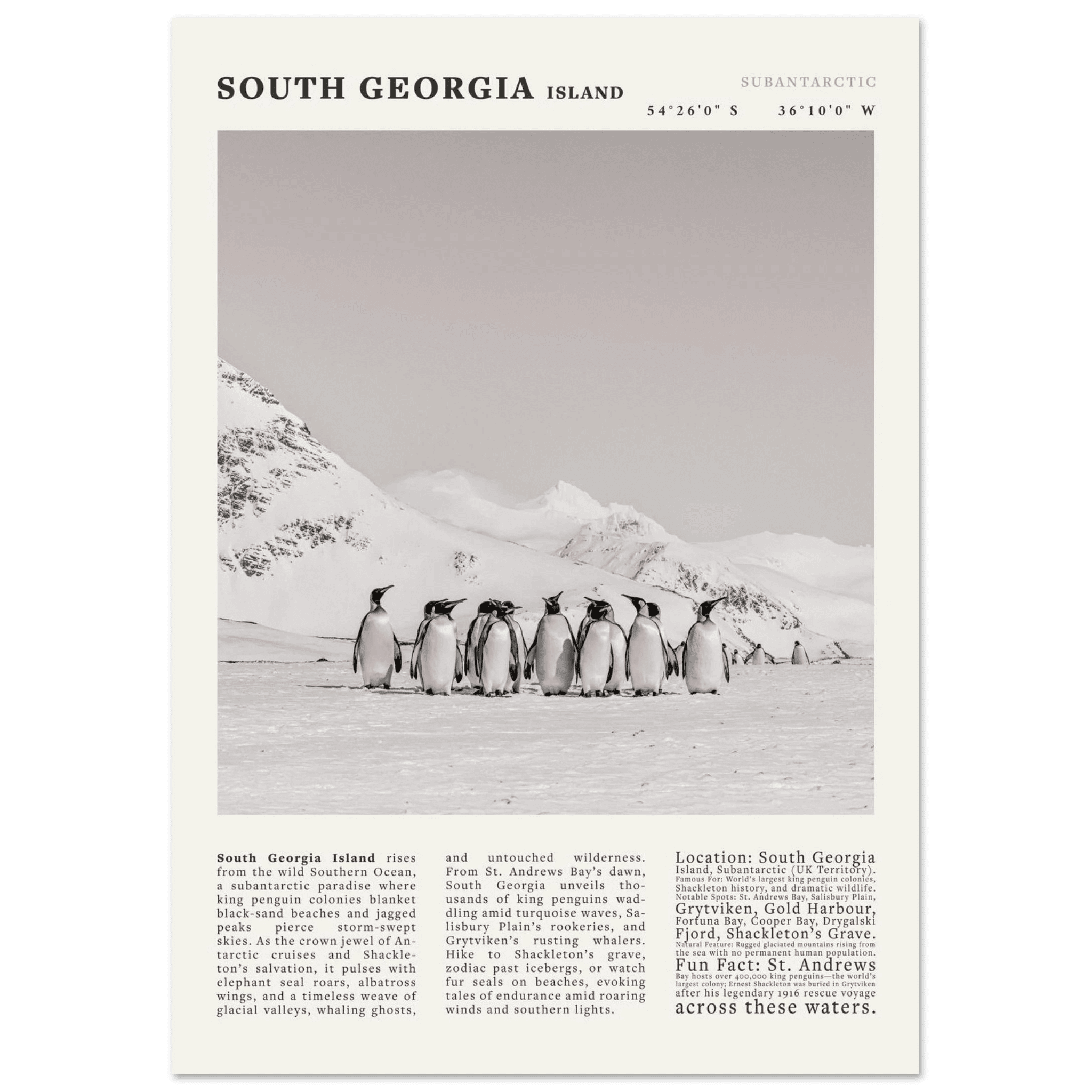 South Georgia Island Black and White Vintage Poster - Evergreen Posters