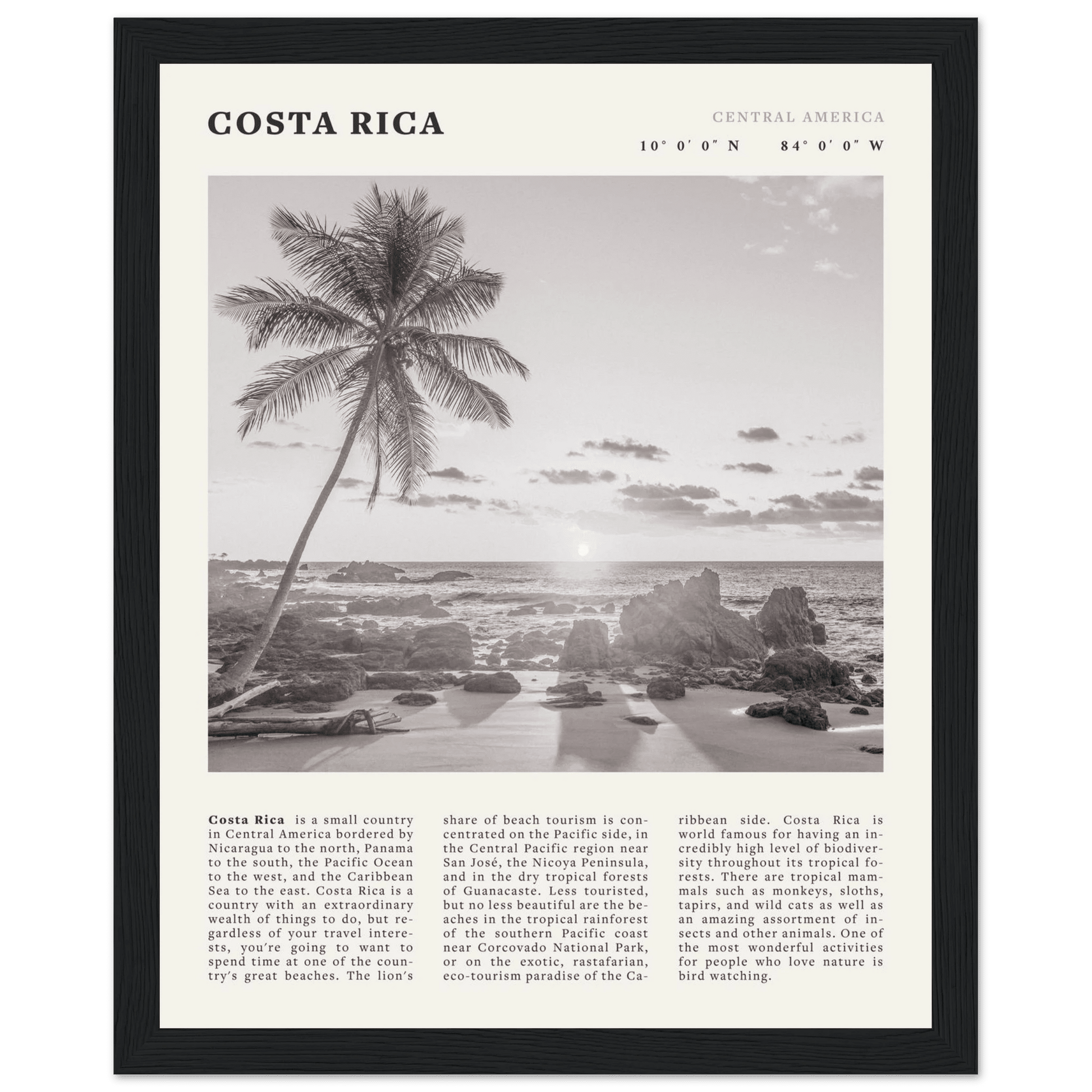 Costa Rica Poster | Black & White Palm Tree Beach Wall Art | Travel Print Decor - Evergreen Posters