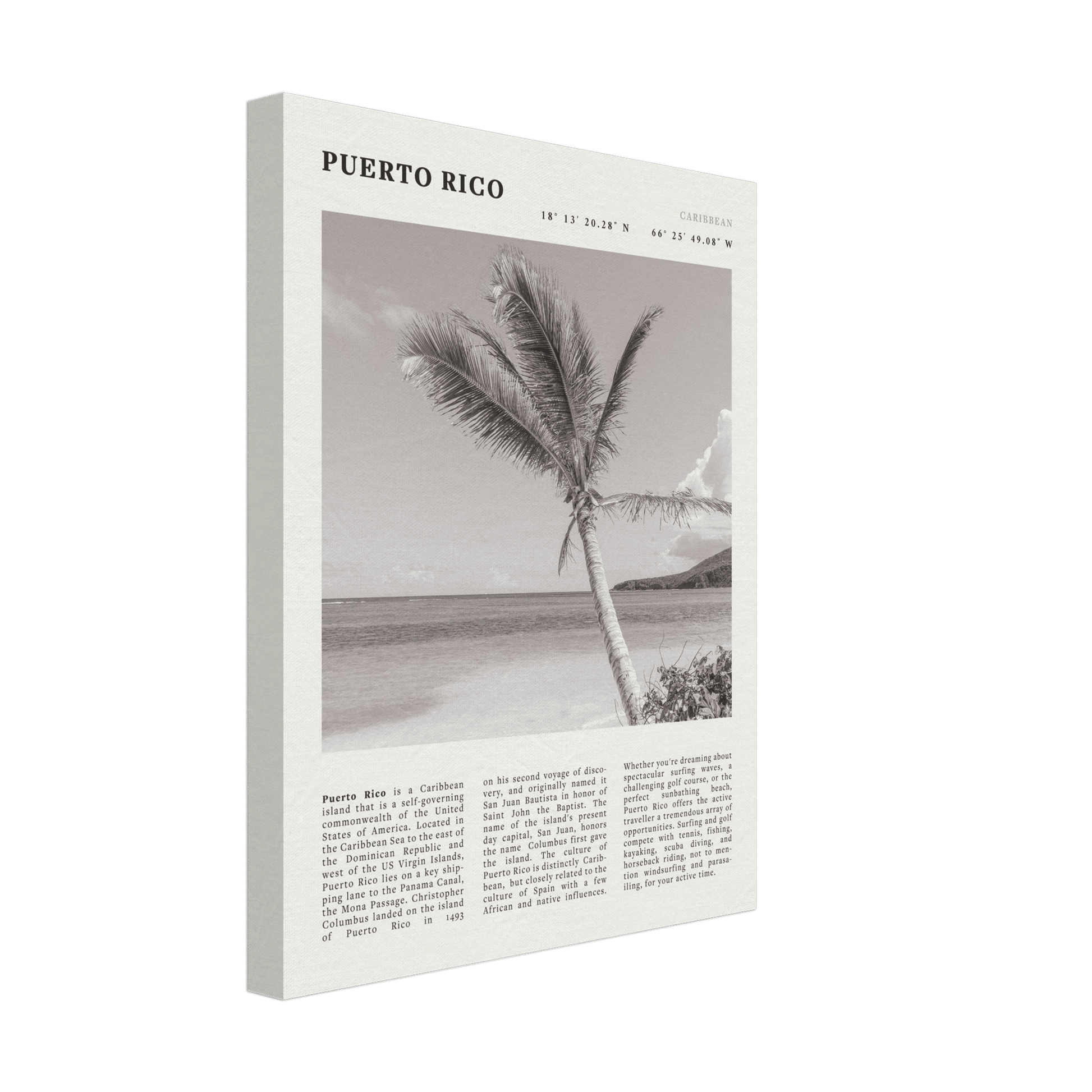 Puerto Rico Poster Black and White – Vintage Caribbean Palm Beach Print (Digital & Printed Options) - Evergreen Posters