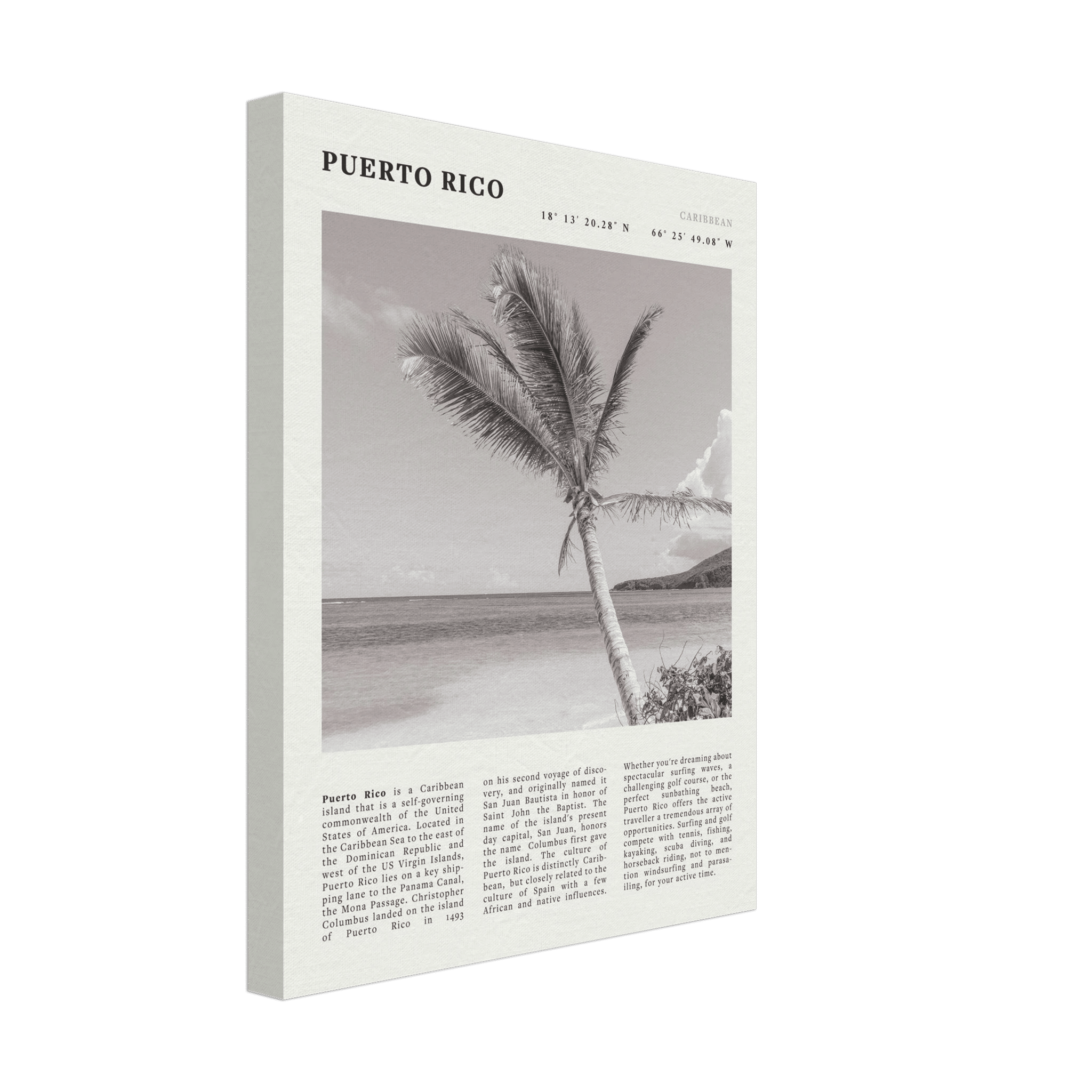 Puerto Rico Poster Black and White – Vintage Caribbean Palm Beach Print (Digital & Printed Options) - Evergreen Posters