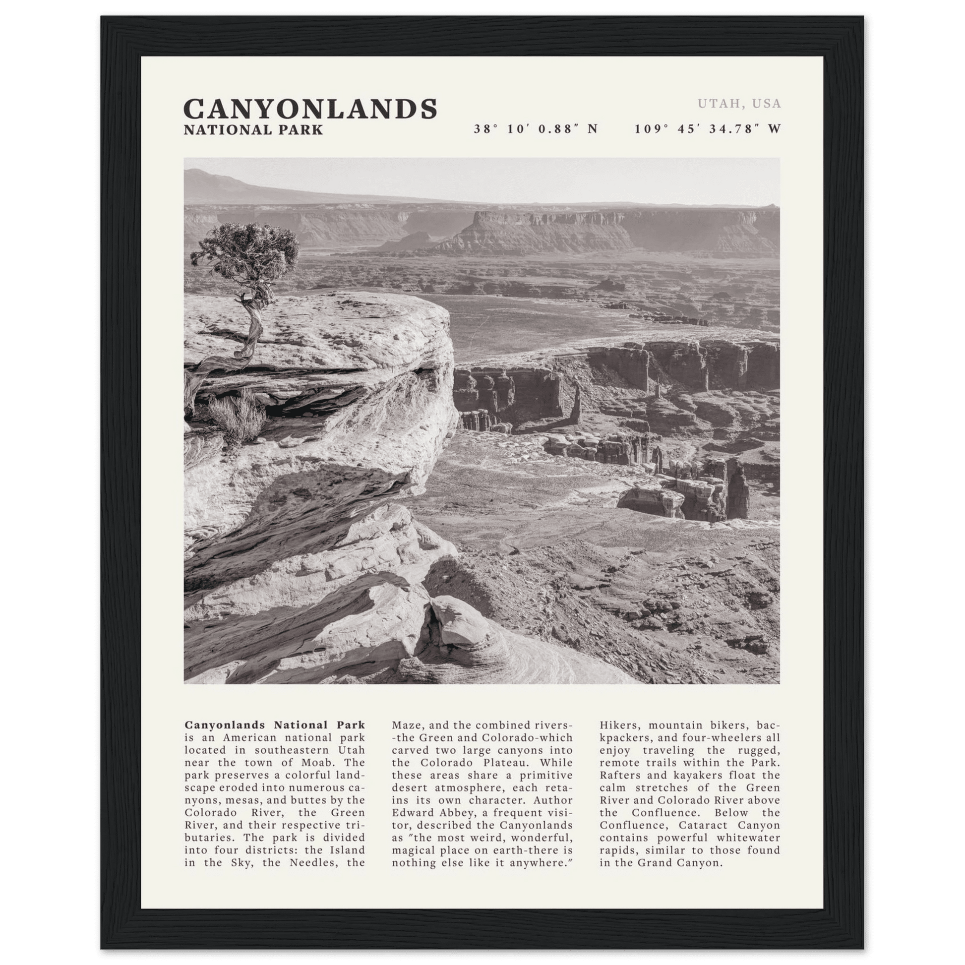 Canyonlands National Park Poster | Black & White Utah Wall Art | Canyon Travel Print - Evergreen Posters