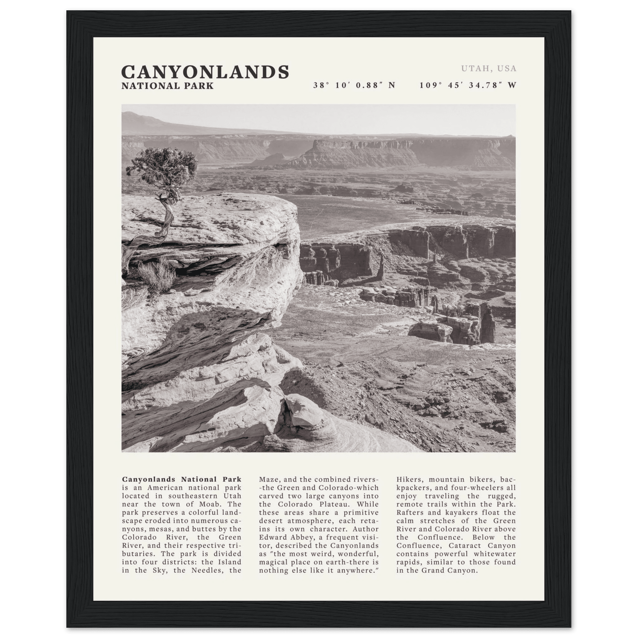 Canyonlands National Park Poster | Black & White Utah Wall Art | Canyon Travel Print - Evergreen Posters