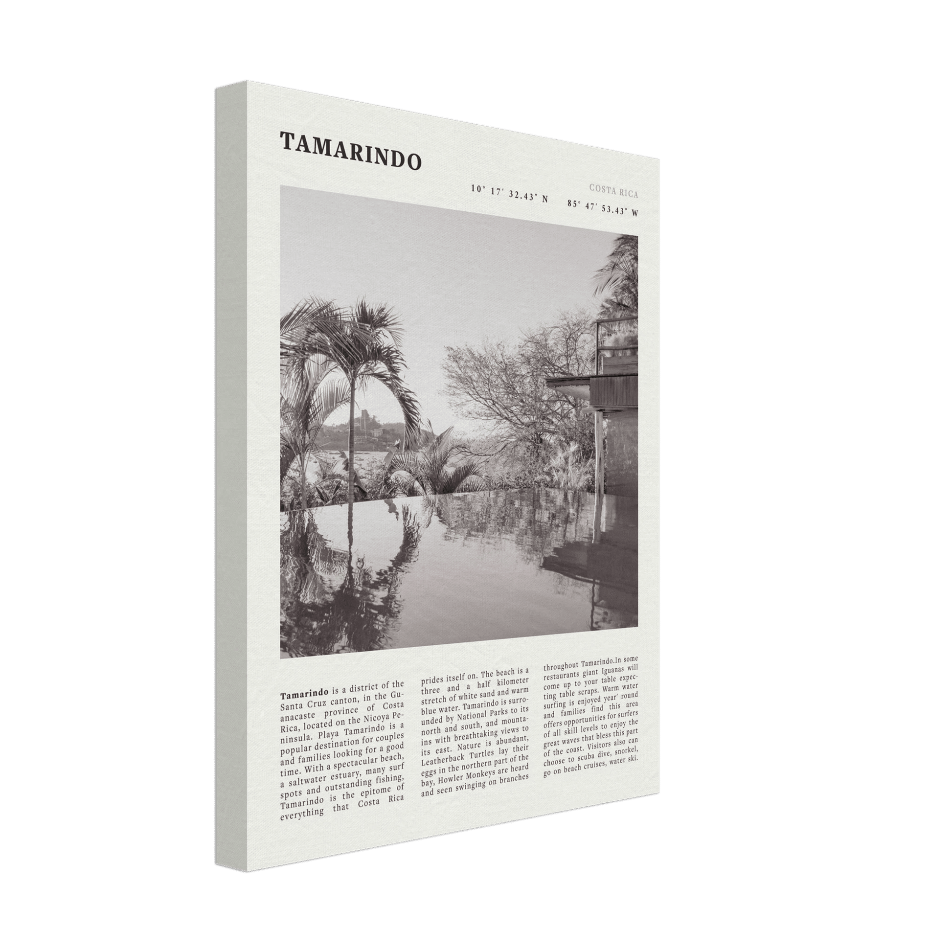 Tamarindo Poster | Black & White Costa Rica Beach Wall Art | Surf Travel Print - Evergreen Posters