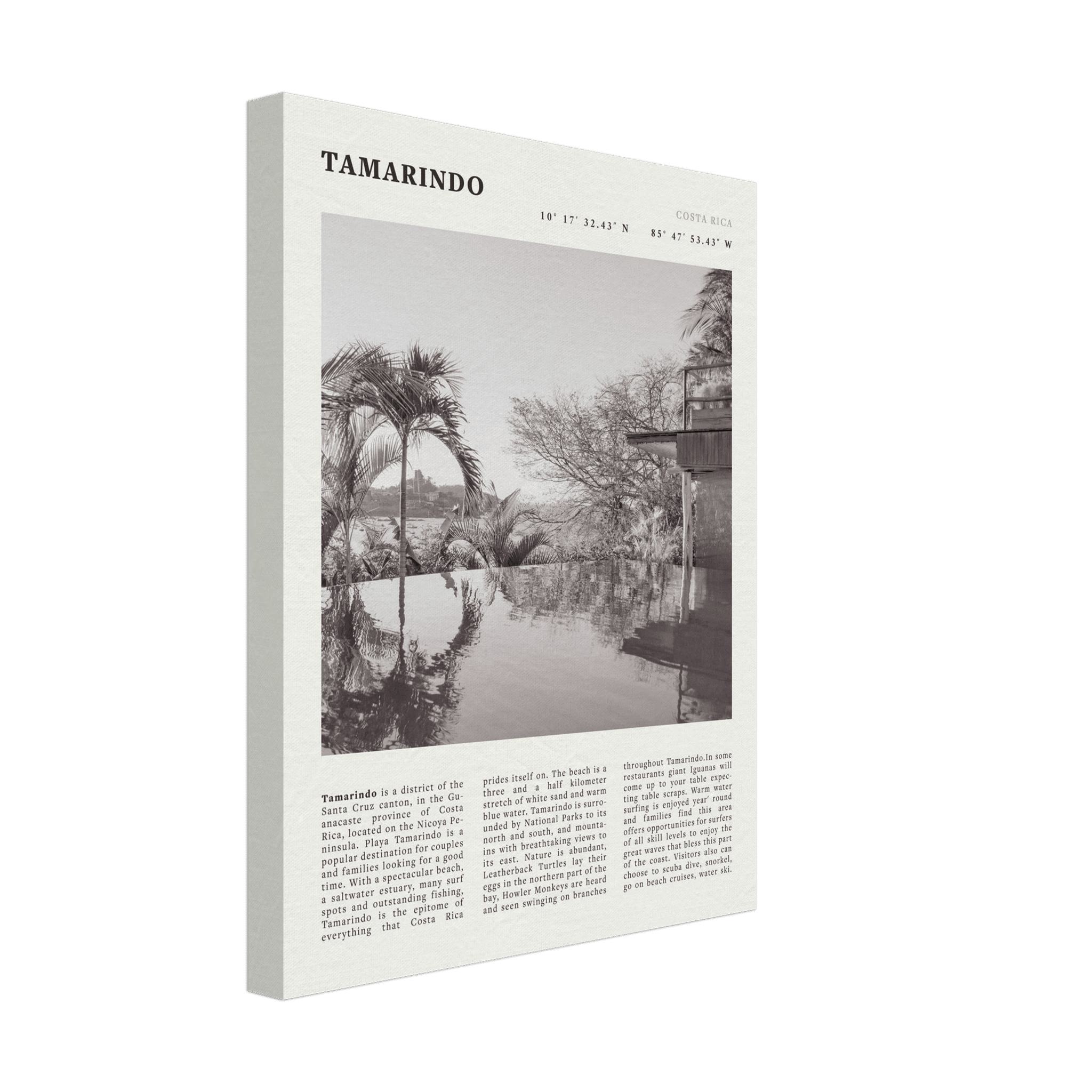 Tamarindo Poster | Black & White Costa Rica Beach Wall Art | Surf Travel Print - Evergreen Posters