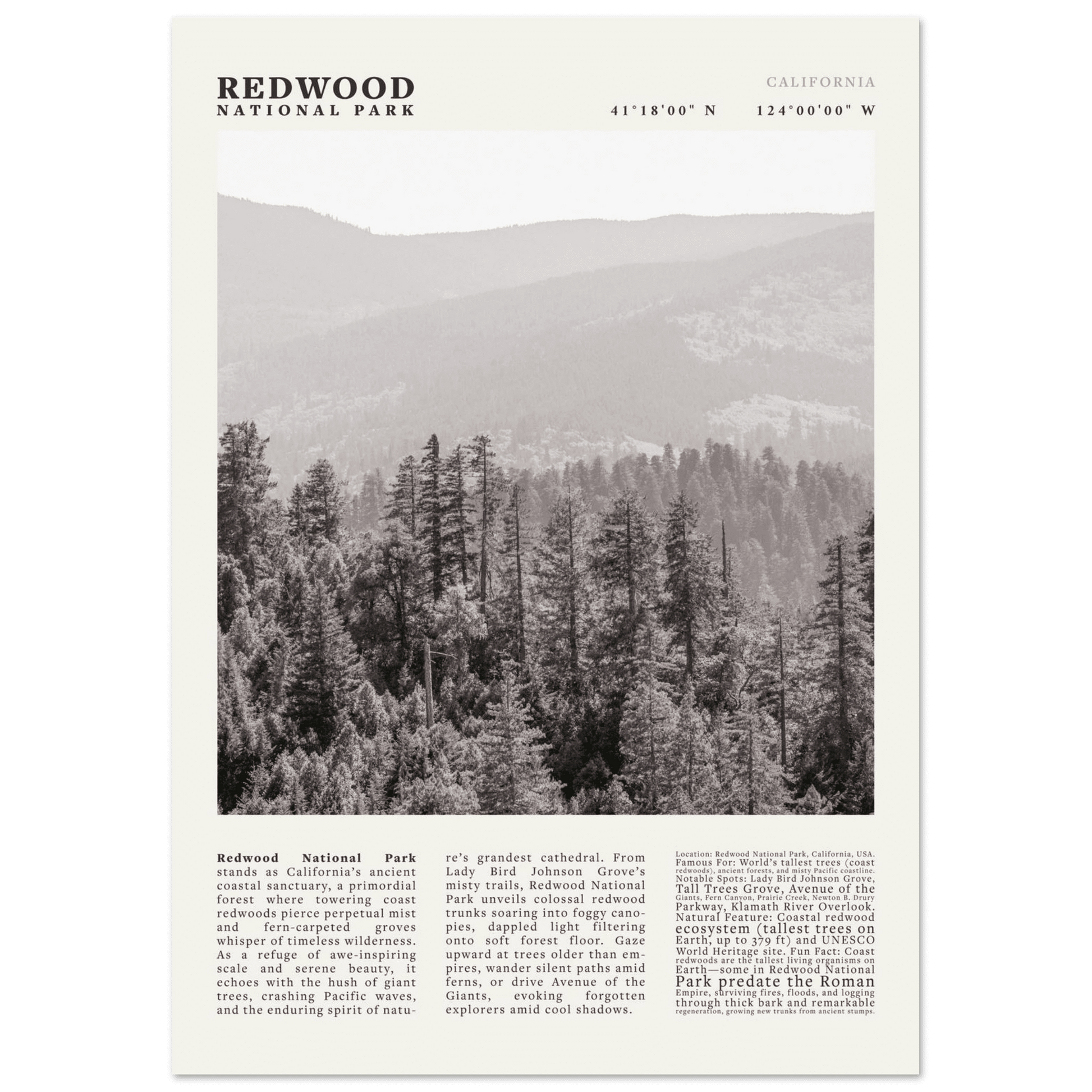 Redwood National Park Poster Black and White – Vintage Foggy Redwood Forest Print - Evergreen Posters