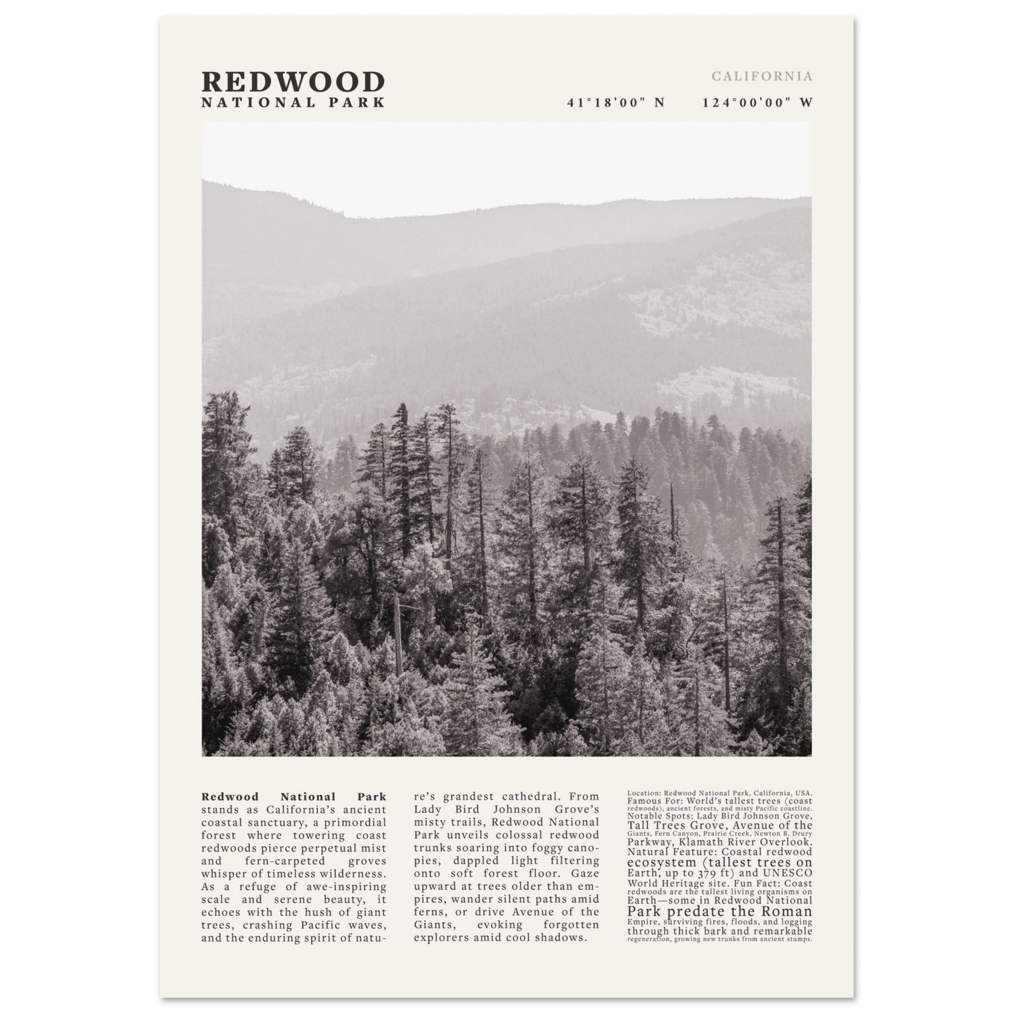Redwood National Park Poster Black and White – Vintage Foggy Redwood Forest Print - Evergreen Posters