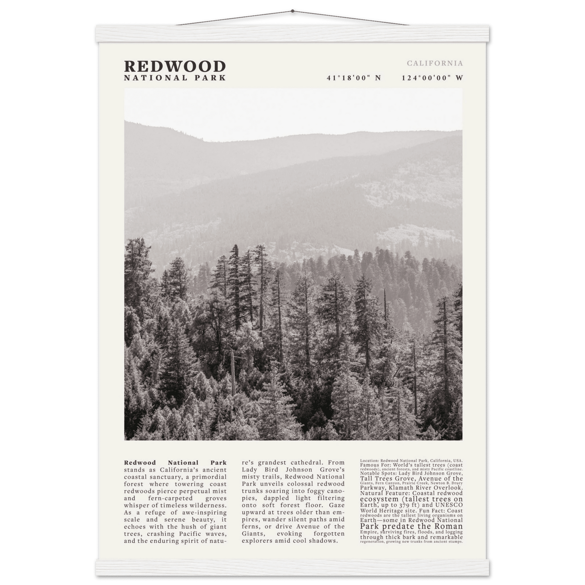 Redwood National Park Poster Black and White – Vintage Foggy Redwood Forest Print - Evergreen Posters