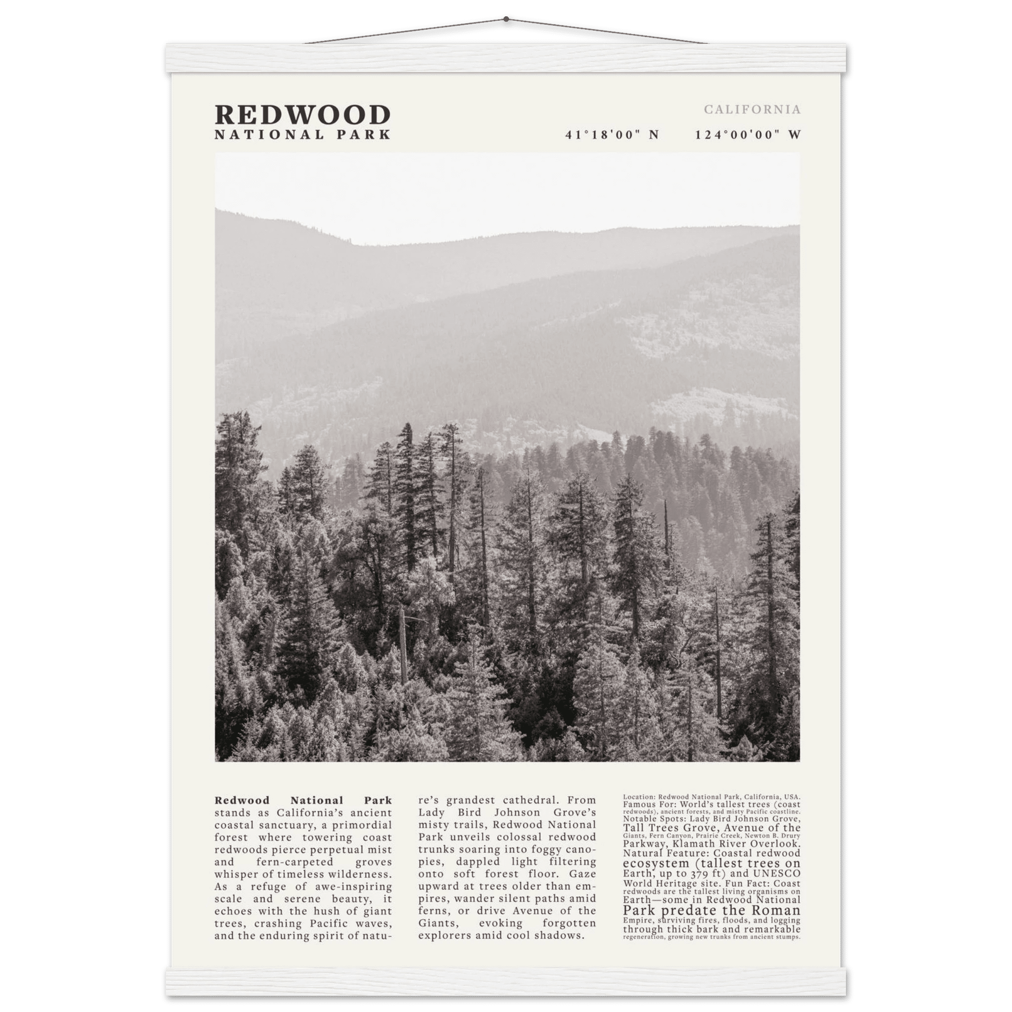 Redwood National Park Poster Black and White – Vintage Foggy Redwood Forest Print - Evergreen Posters