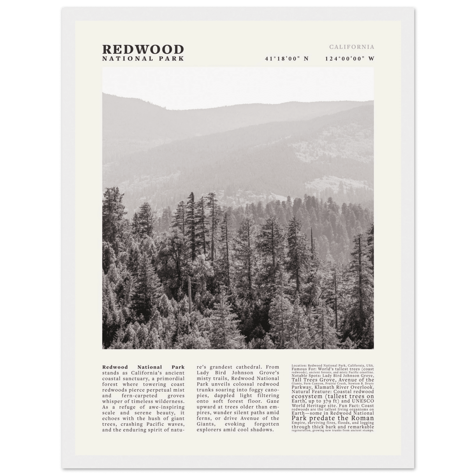 Redwood National Park Poster Black and White – Vintage Foggy Redwood Forest Print - Evergreen Posters