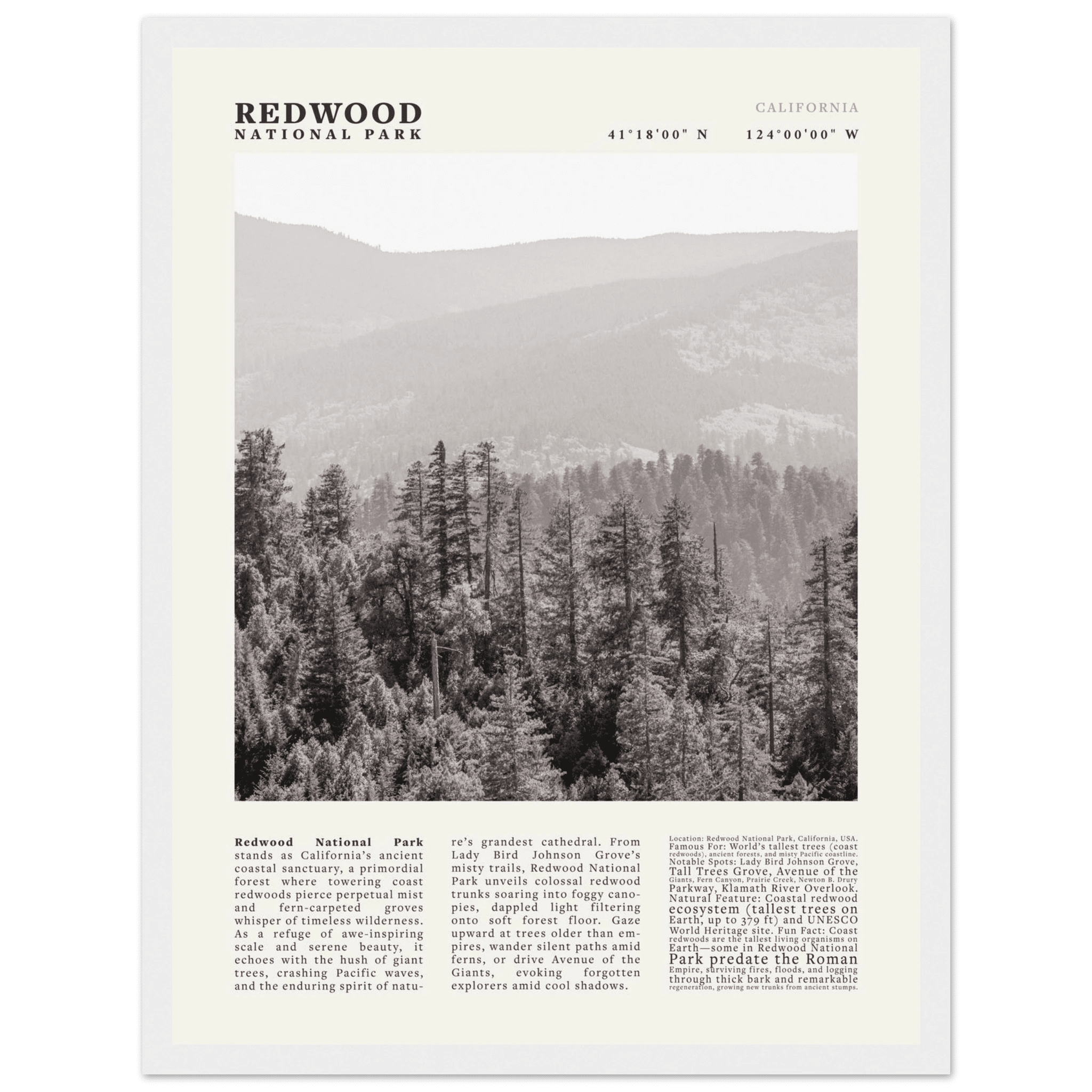 Redwood National Park Poster Black and White – Vintage Foggy Redwood Forest Print - Evergreen Posters