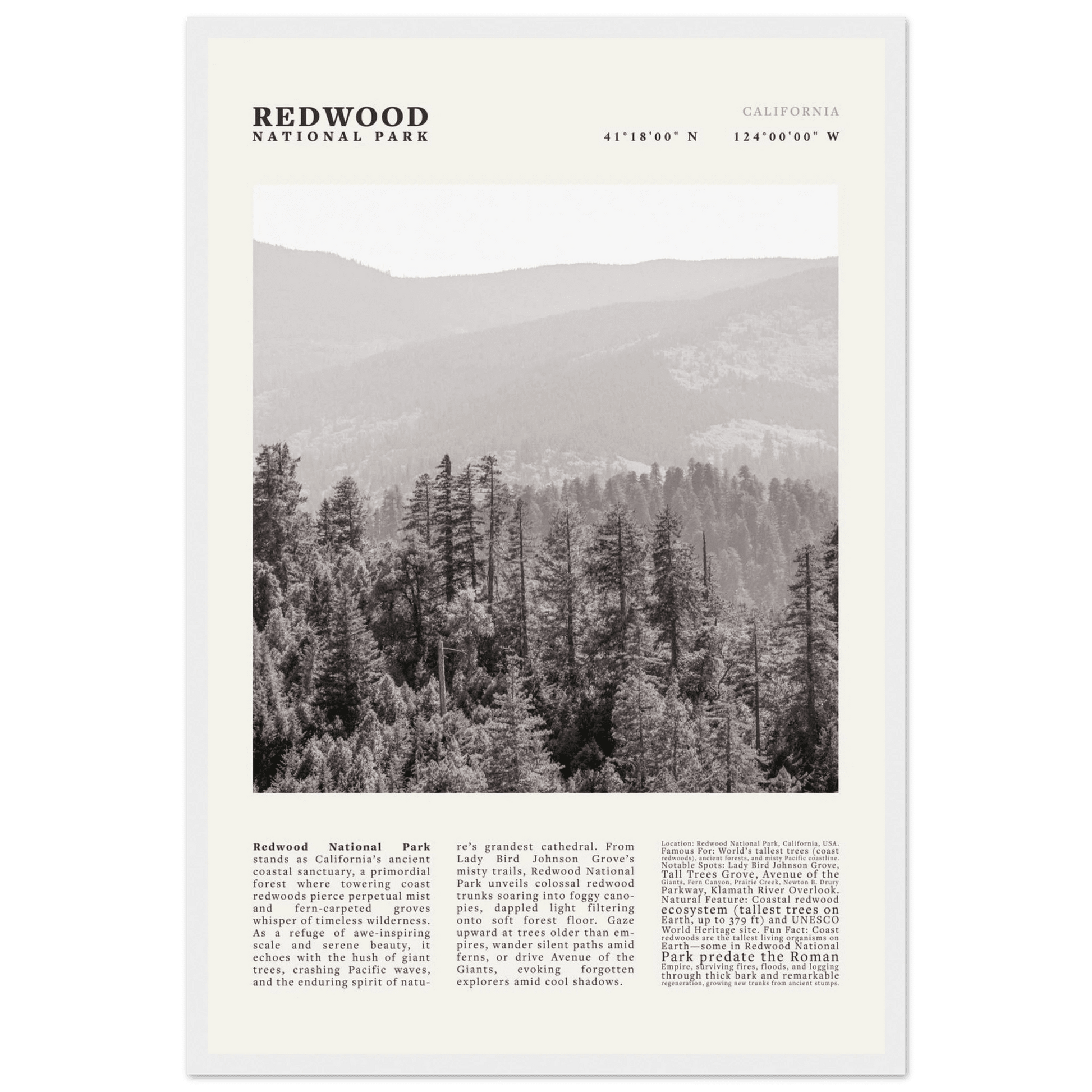 Redwood National Park Poster Black and White – Vintage Foggy Redwood Forest Print - Evergreen Posters