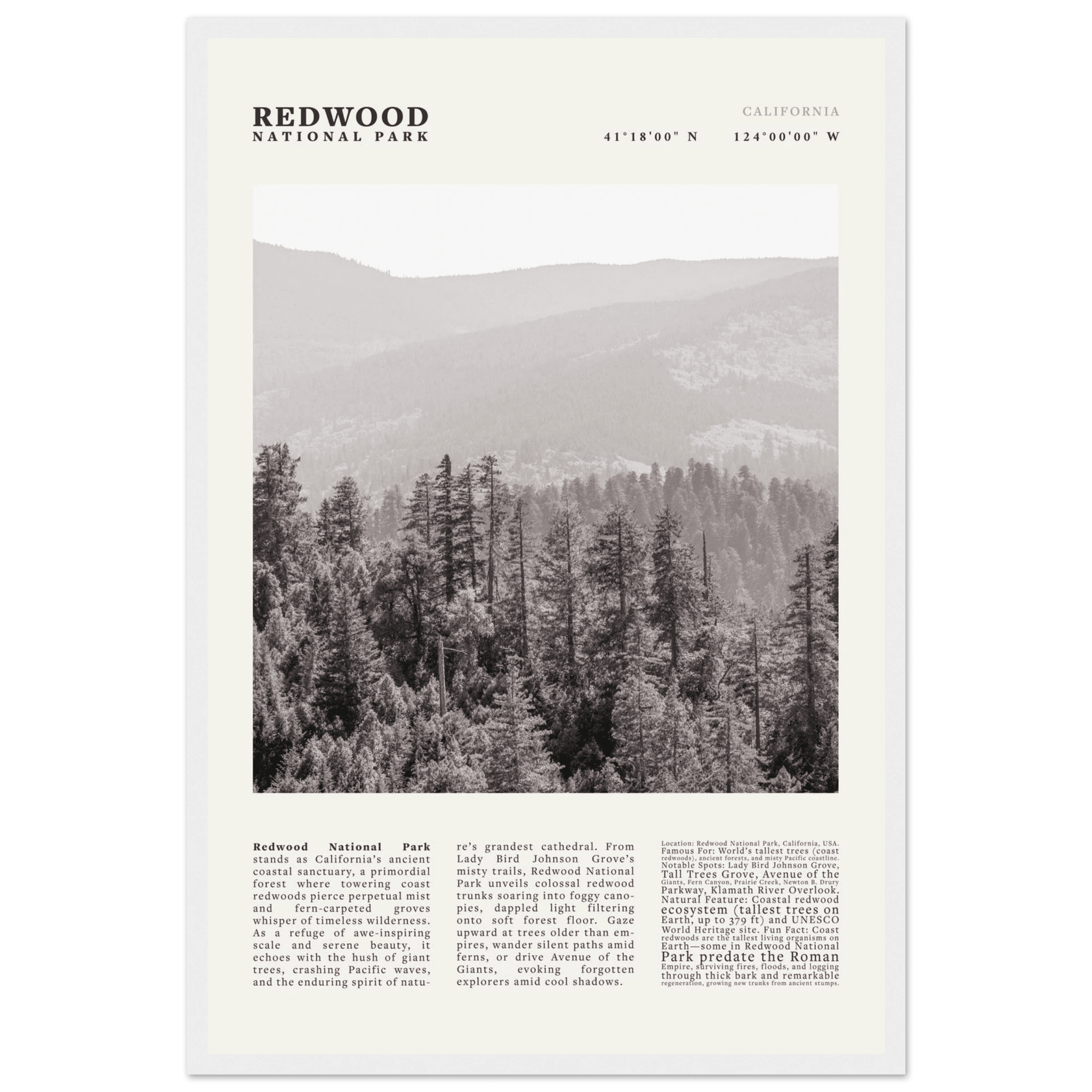 Redwood National Park Poster Black and White – Vintage Foggy Redwood Forest Print - Evergreen Posters