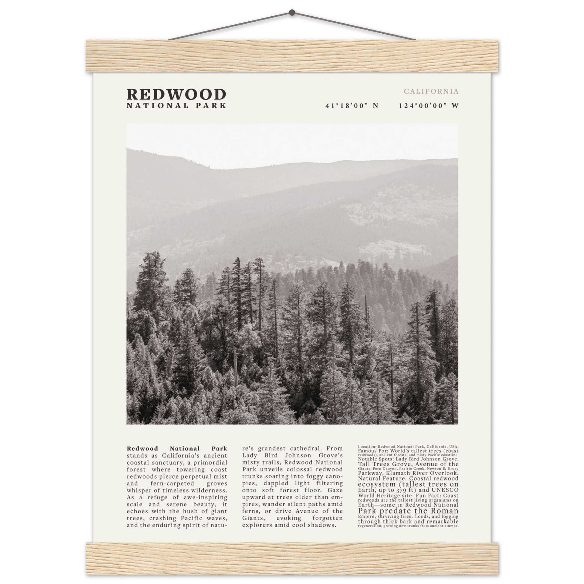 Redwood National Park Poster Black and White – Vintage Foggy Redwood Forest Print - Evergreen Posters