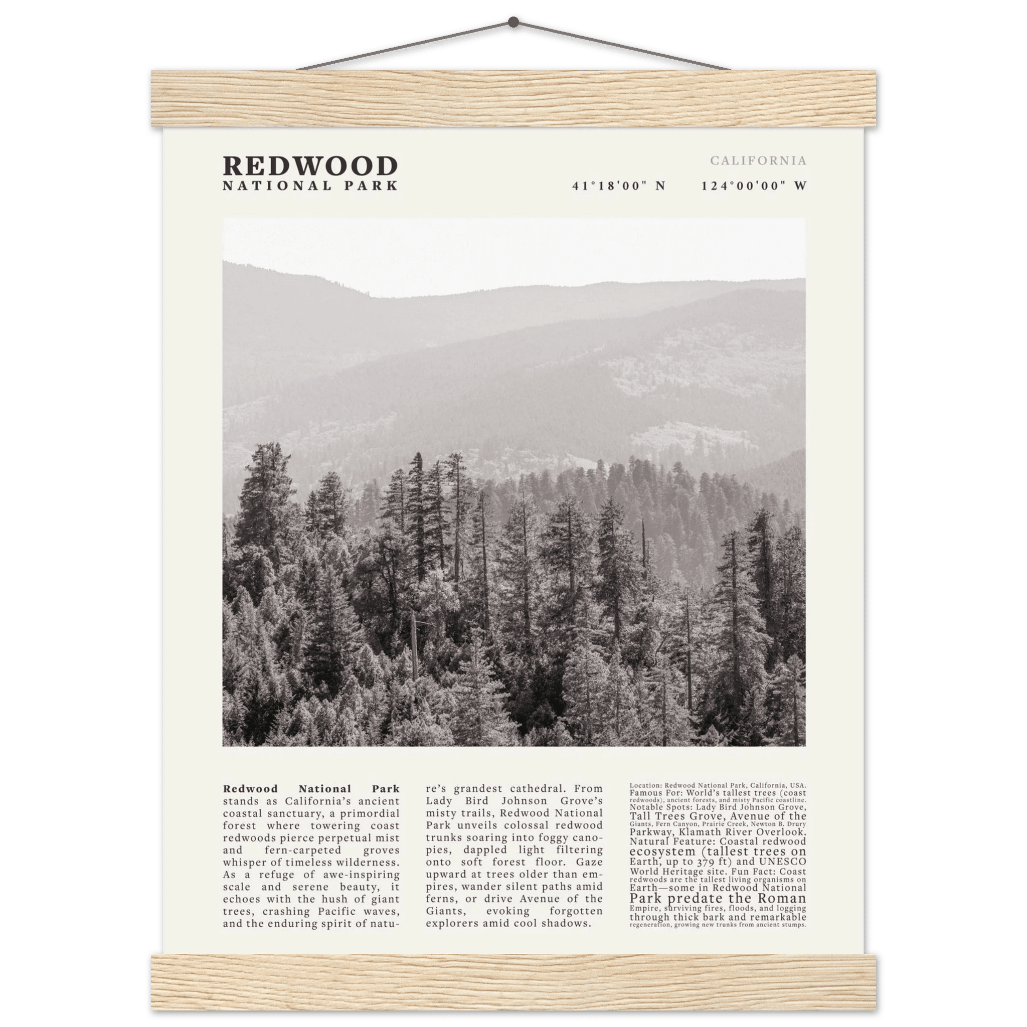 Redwood National Park Poster Black and White – Vintage Foggy Redwood Forest Print - Evergreen Posters