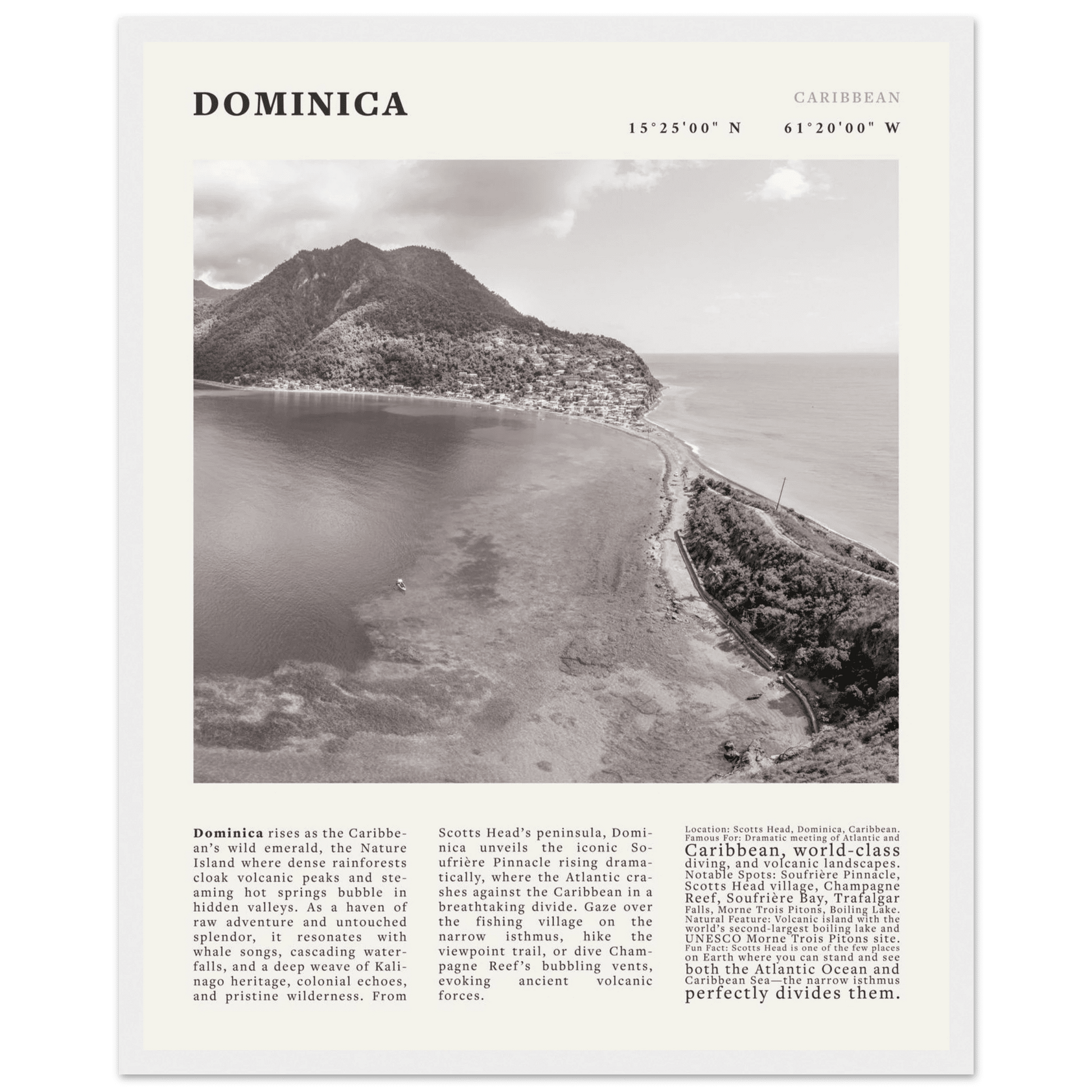 Dominica Poster Black and White – Vintage Caribbean Rainforest Island Print (Digital & Printed Options) - Evergreen Posters