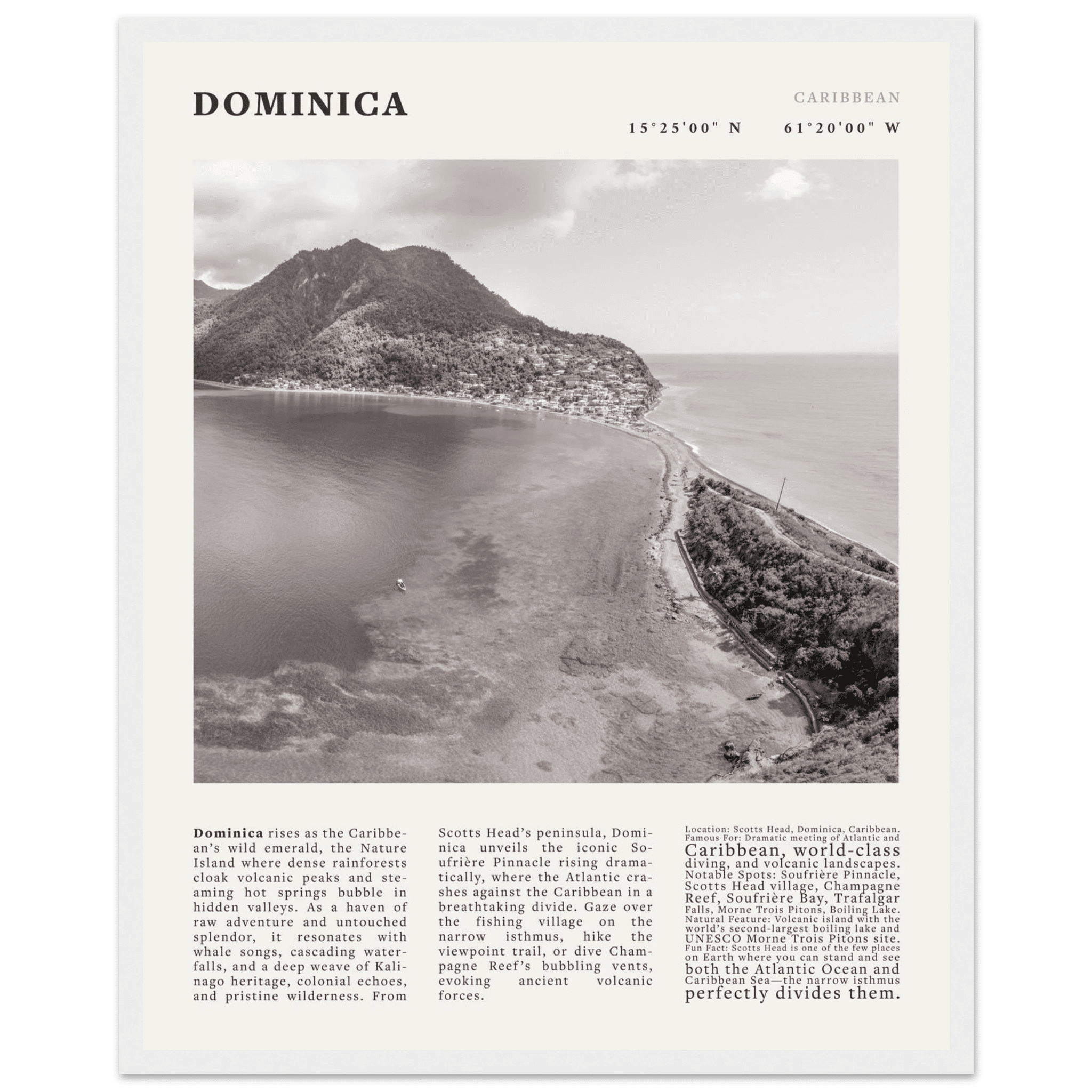 Dominica Poster Black and White – Vintage Caribbean Rainforest Island Print (Digital & Printed Options) - Evergreen Posters
